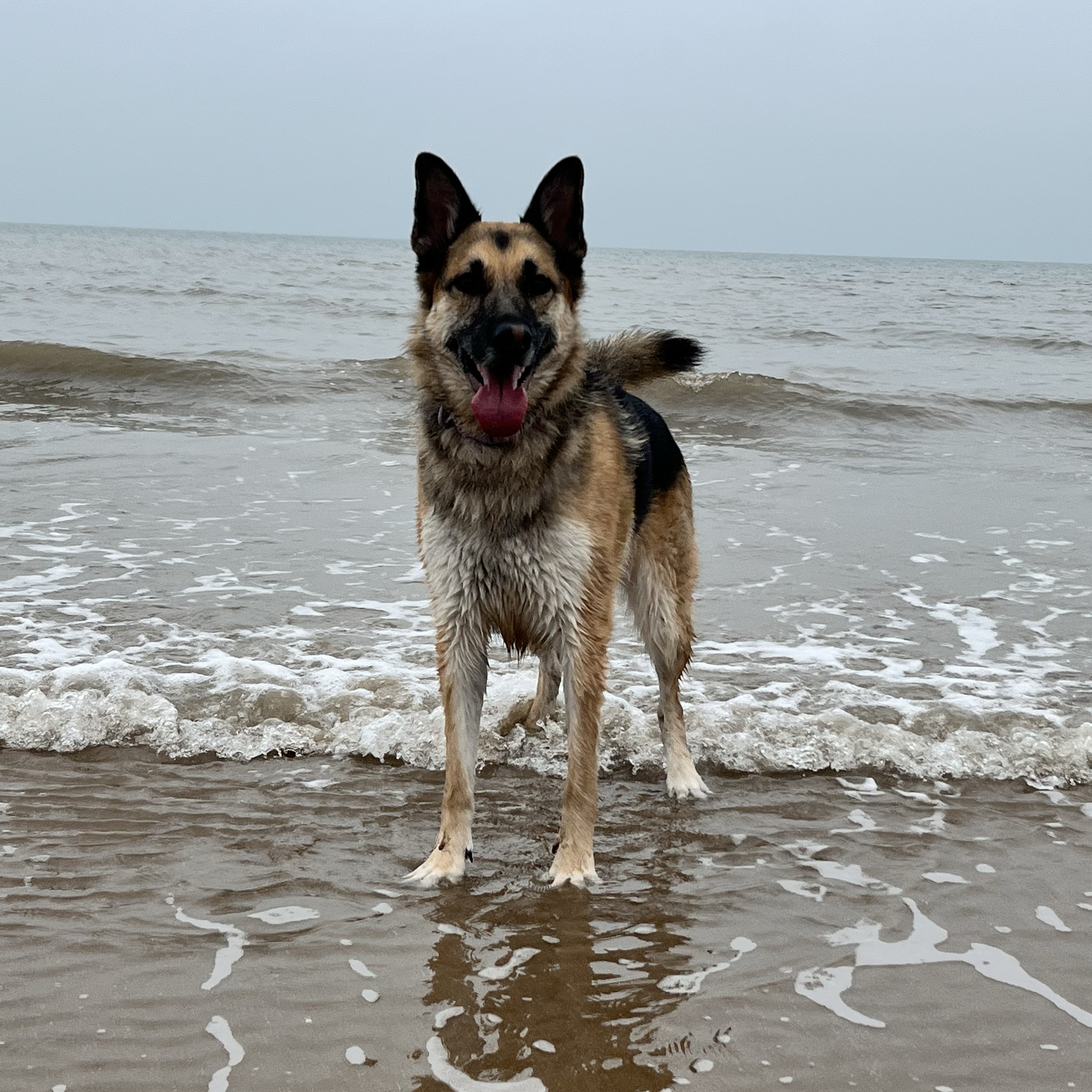 Lulu