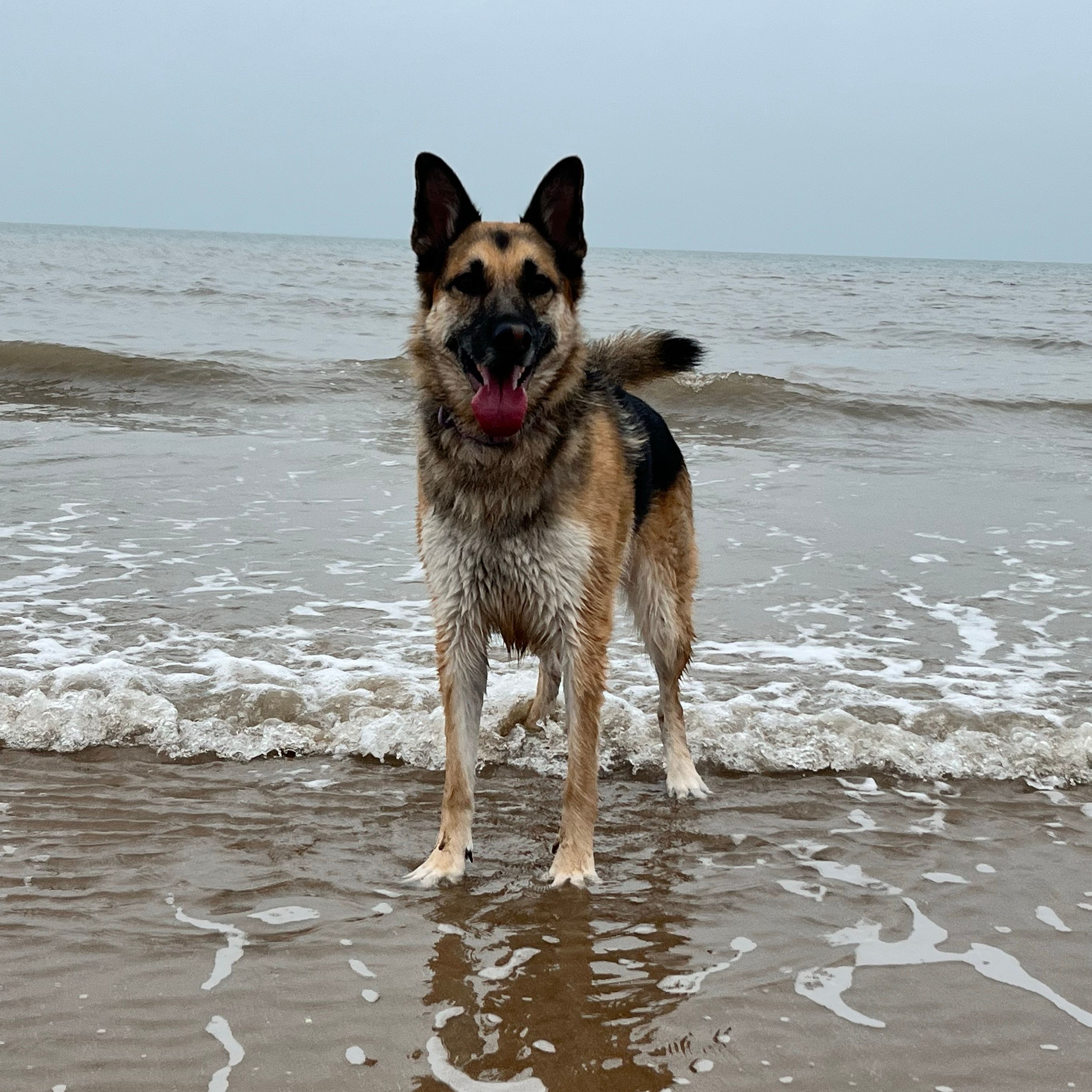 Lulu