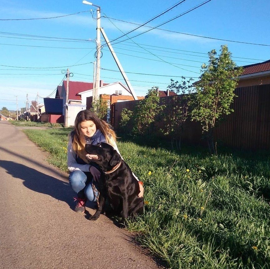image-6