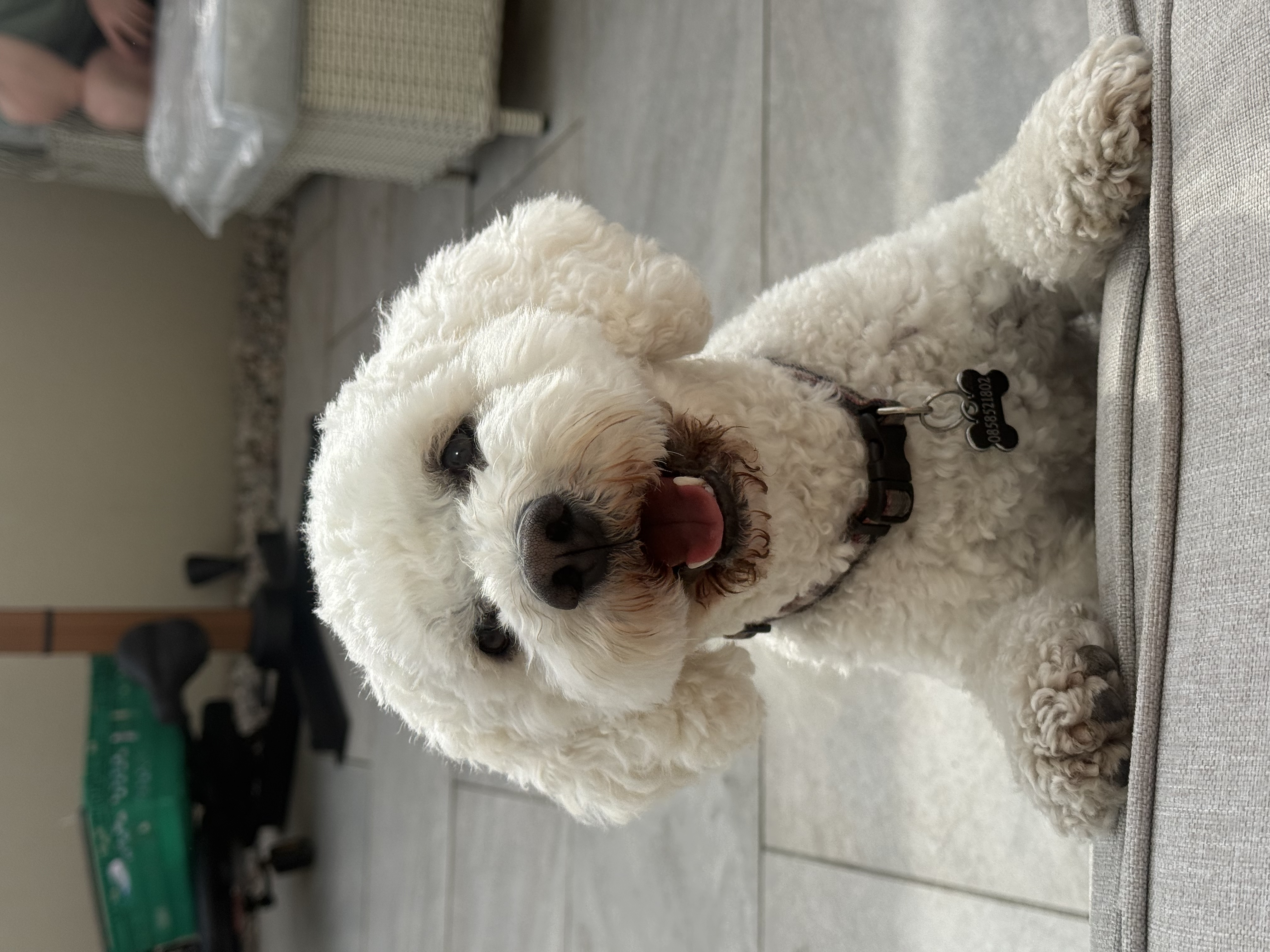 image-11
