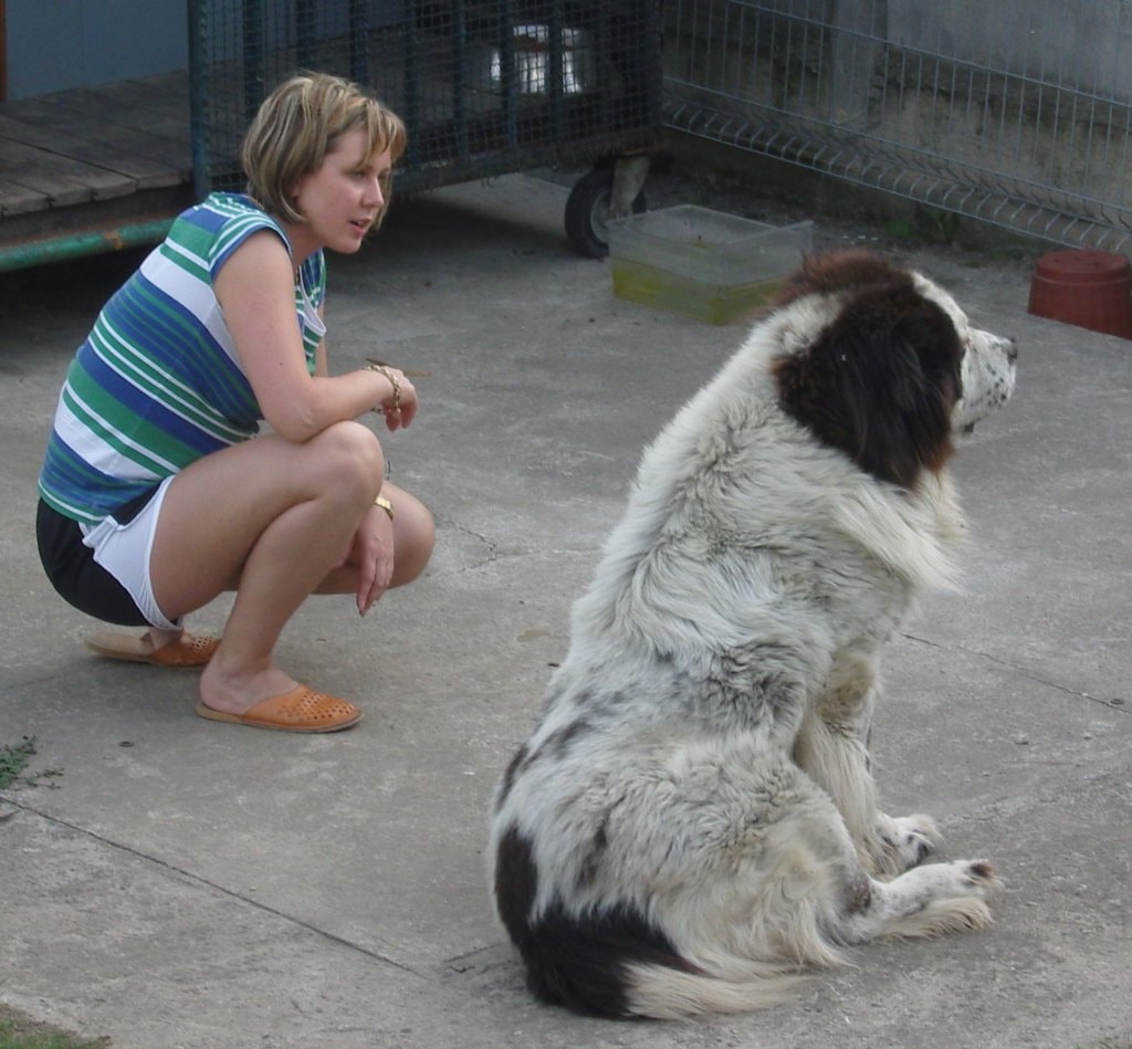 image-6