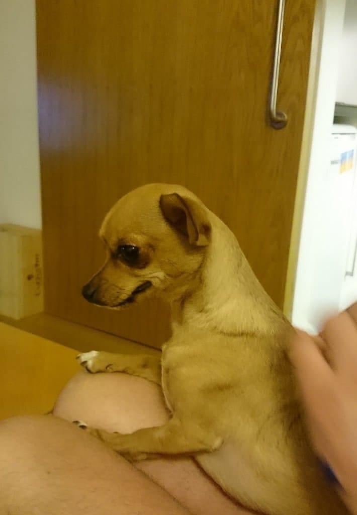 image-4
