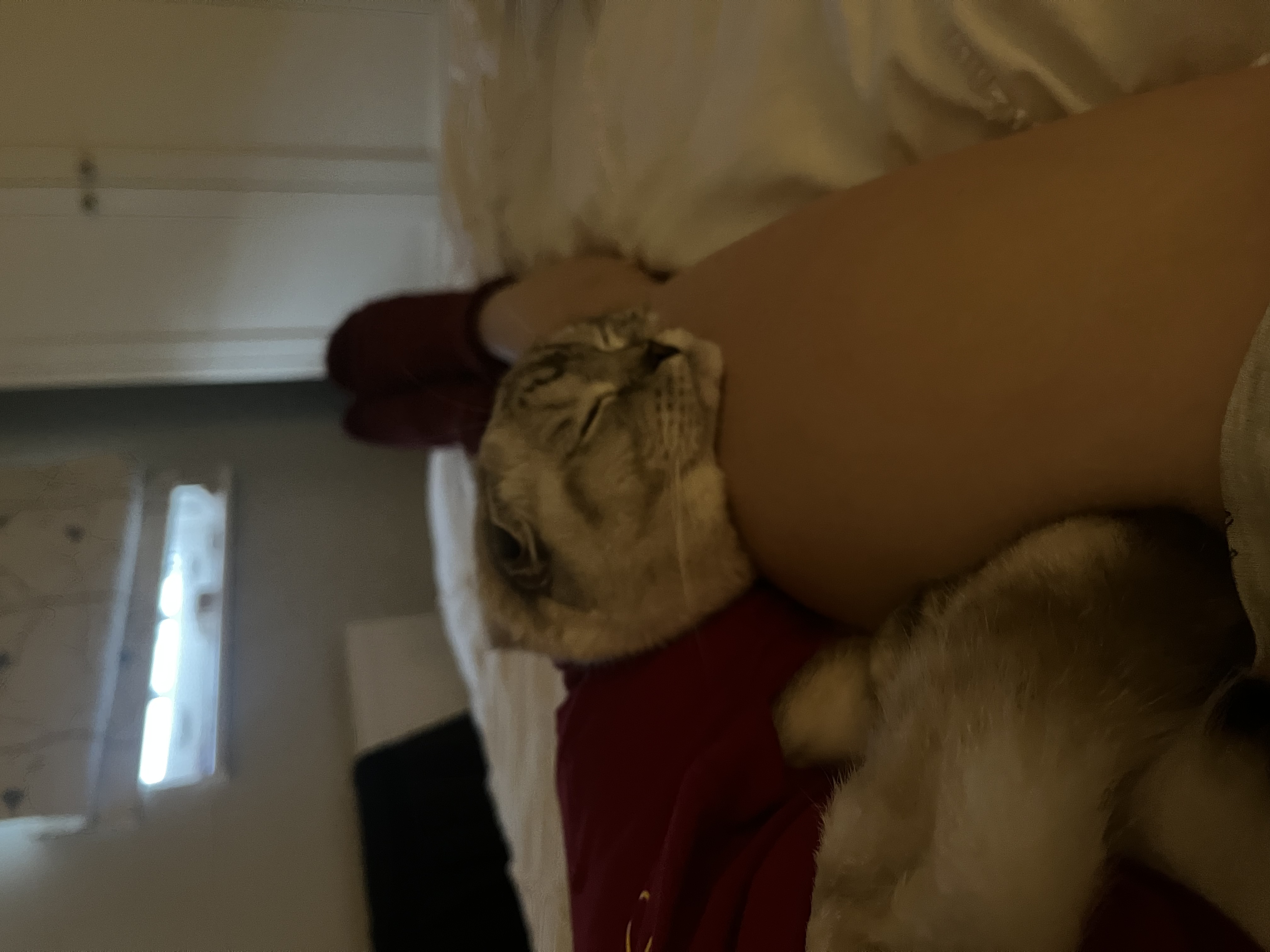 image-12