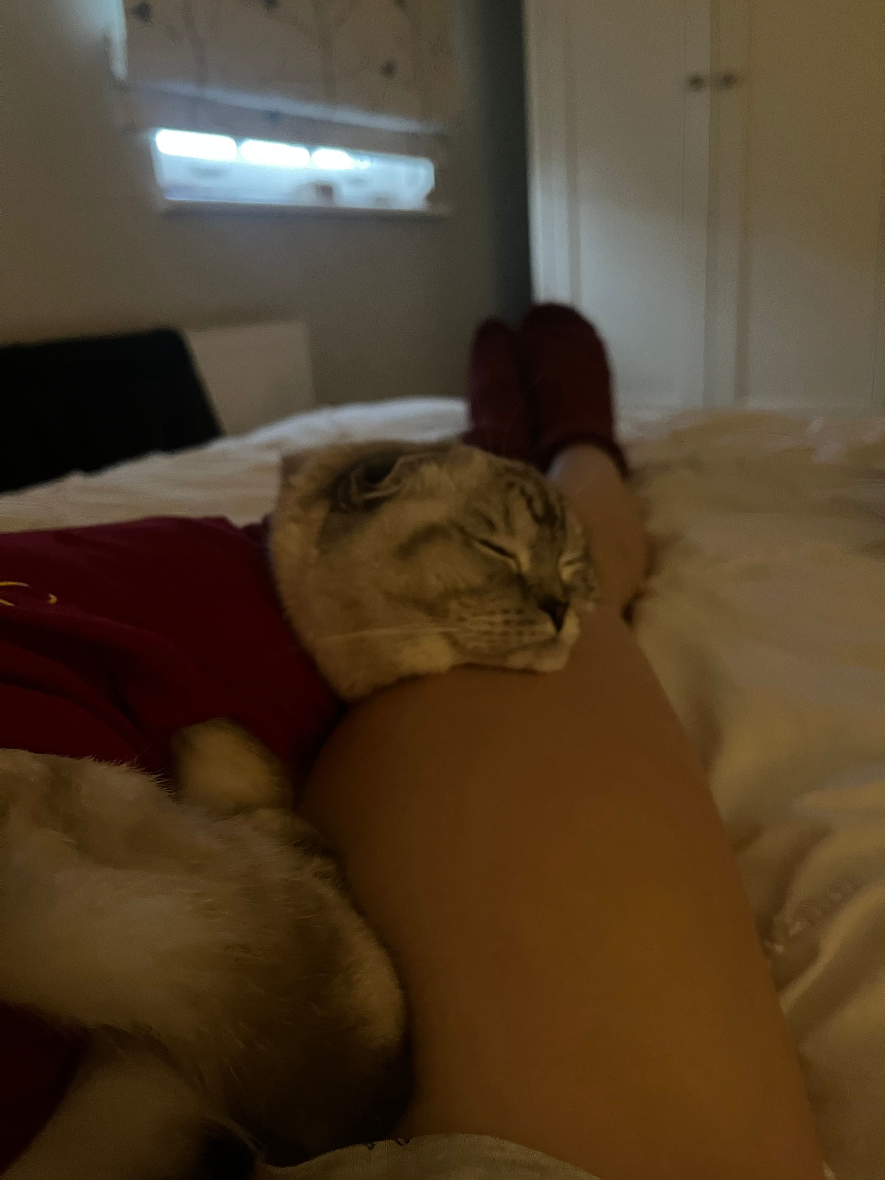 image-12