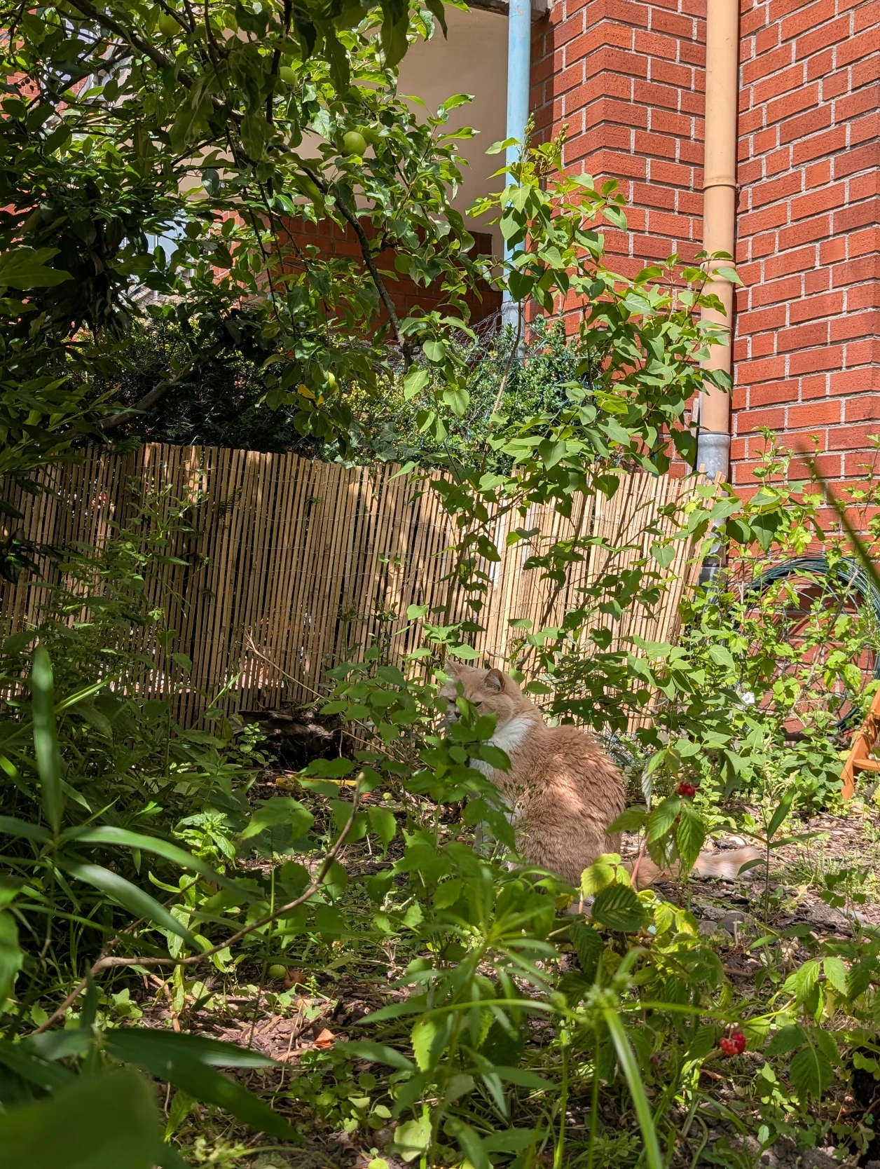 image-13