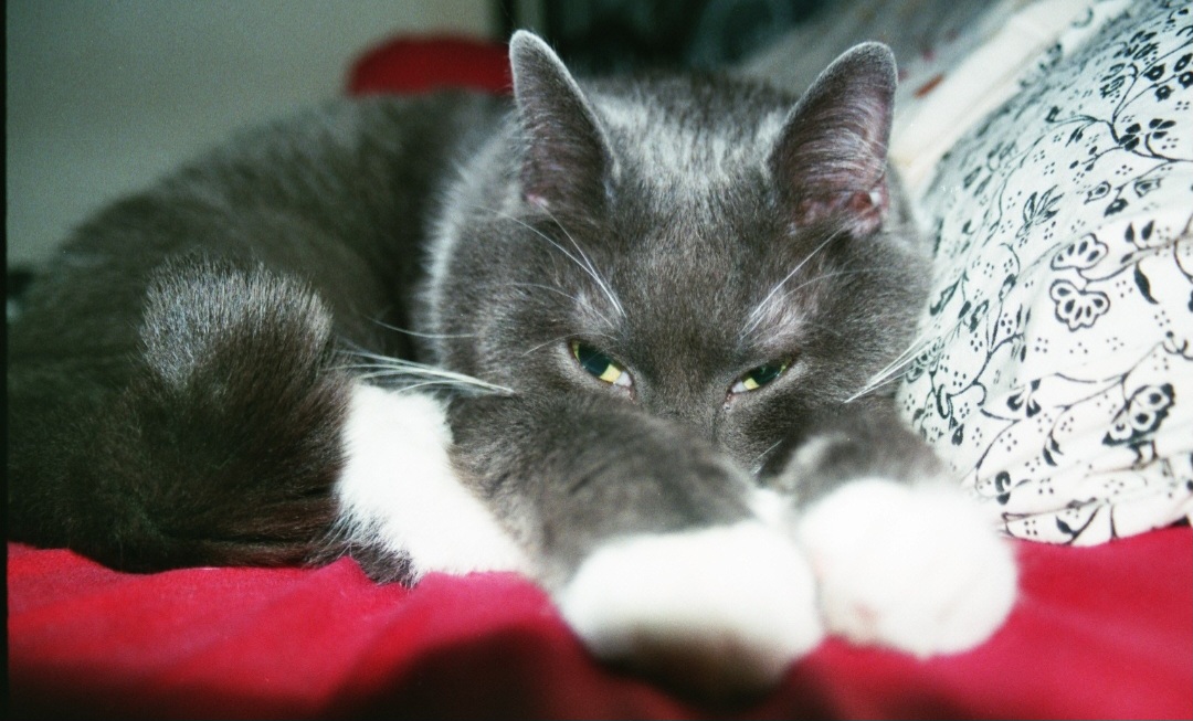 image-5