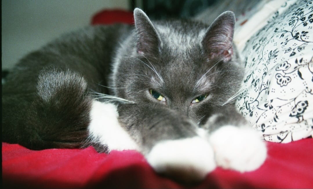 image-5