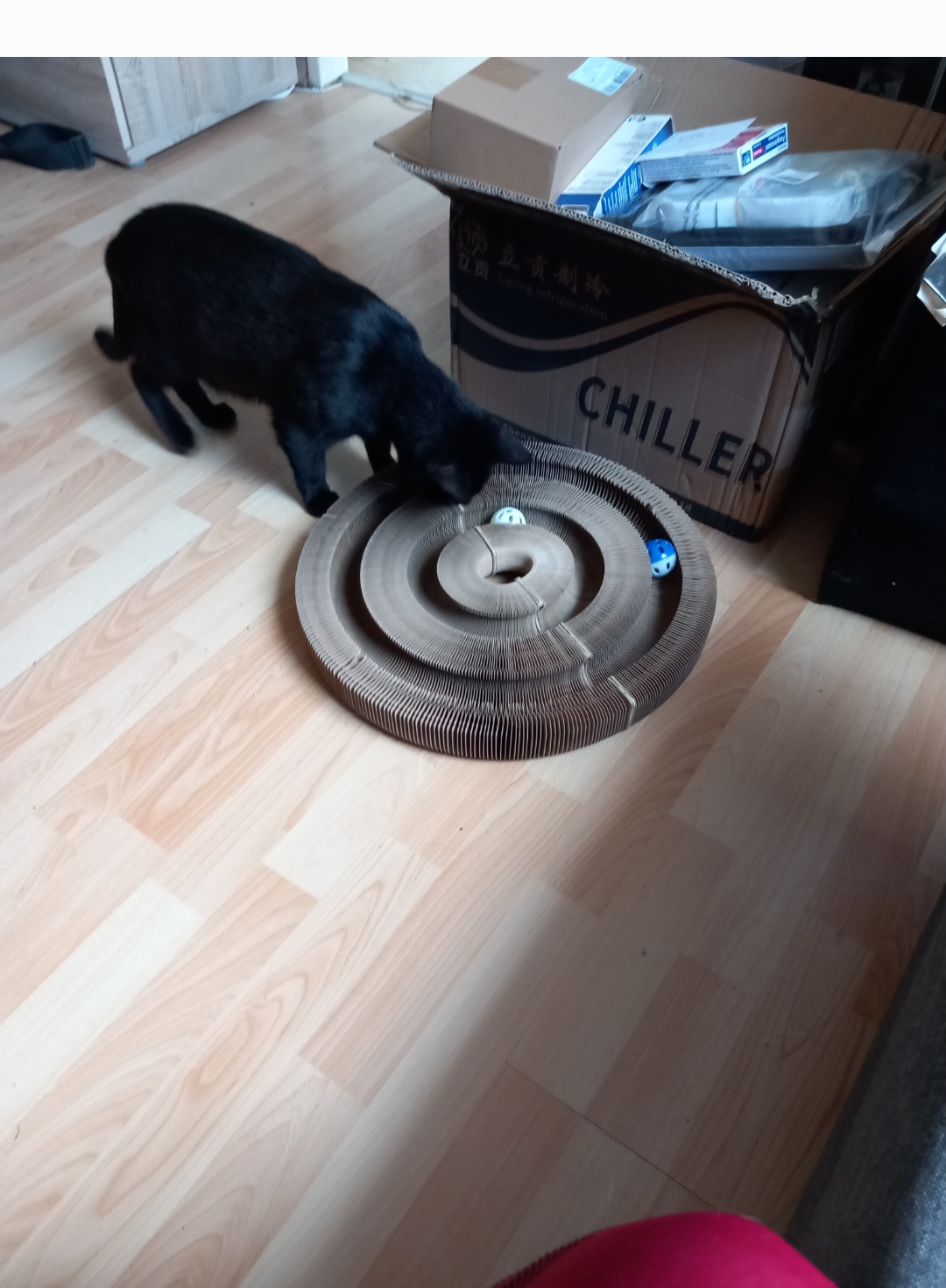 image-9