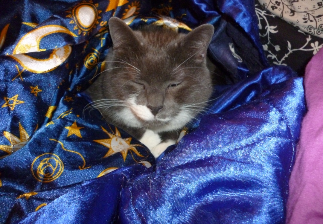 image-6