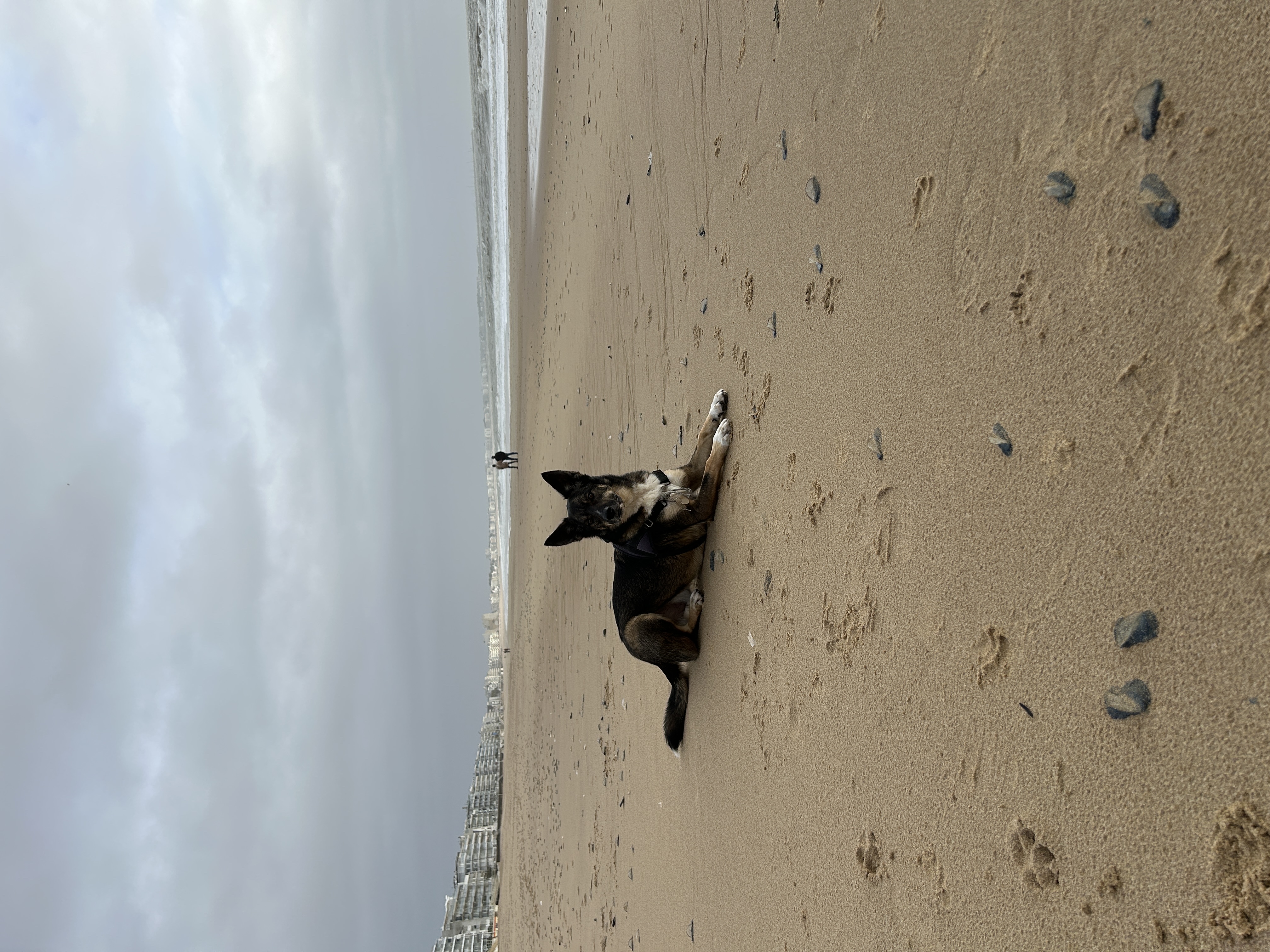 image-4
