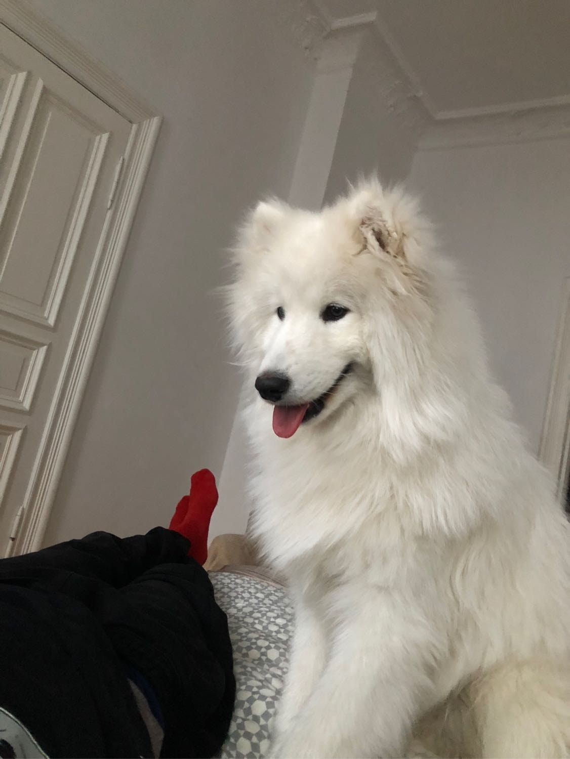 image-6