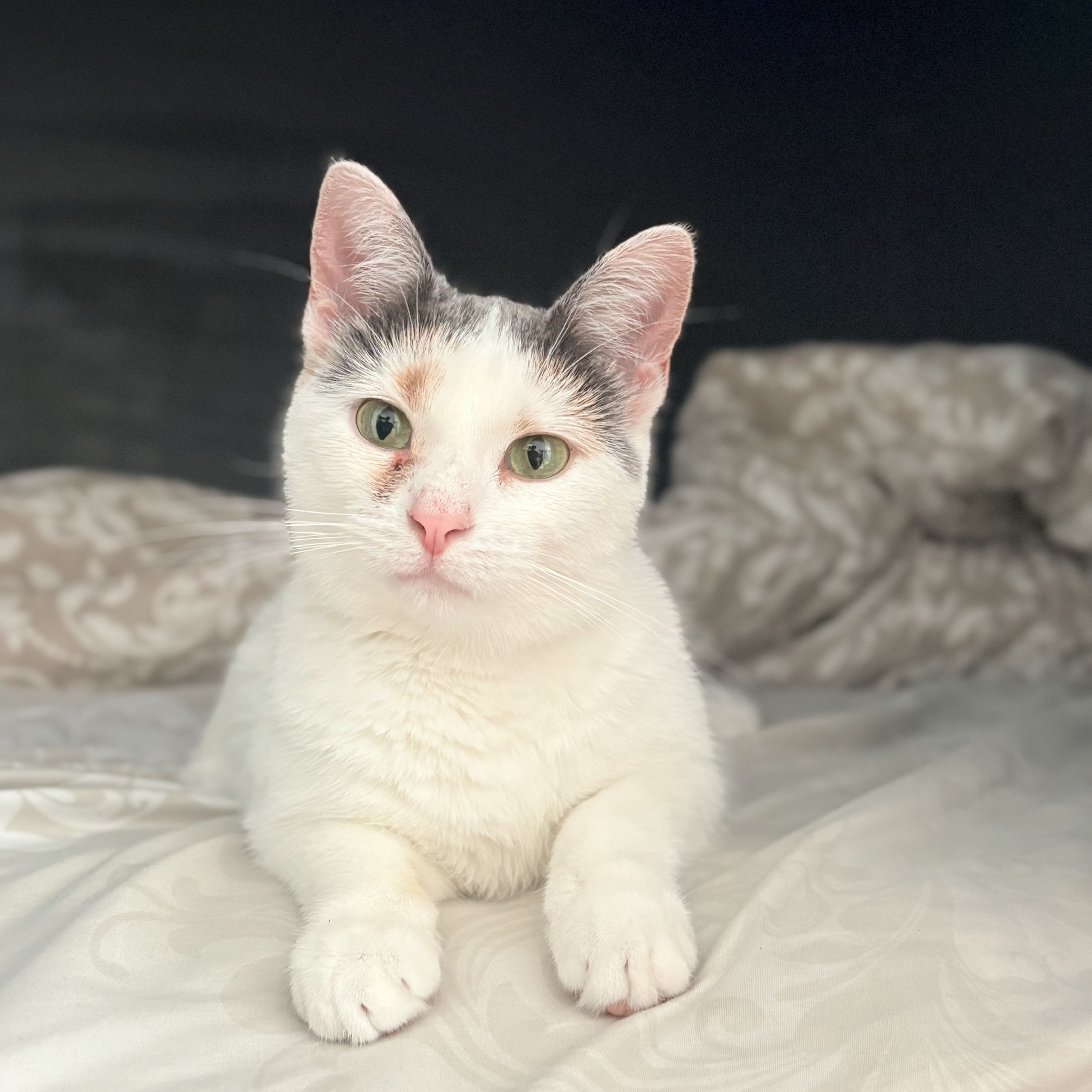 Yuki