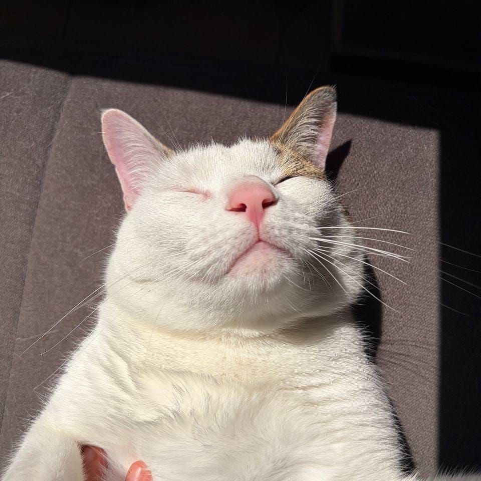 Milo