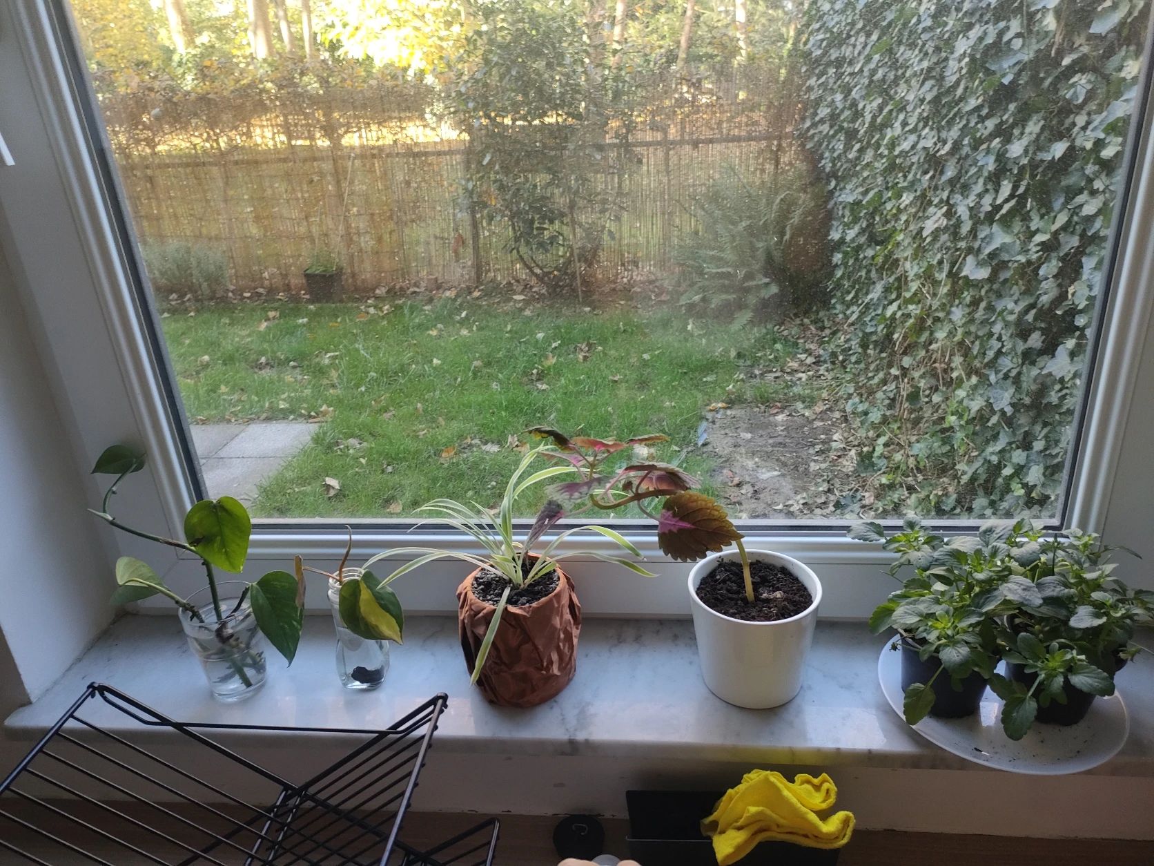 image-17