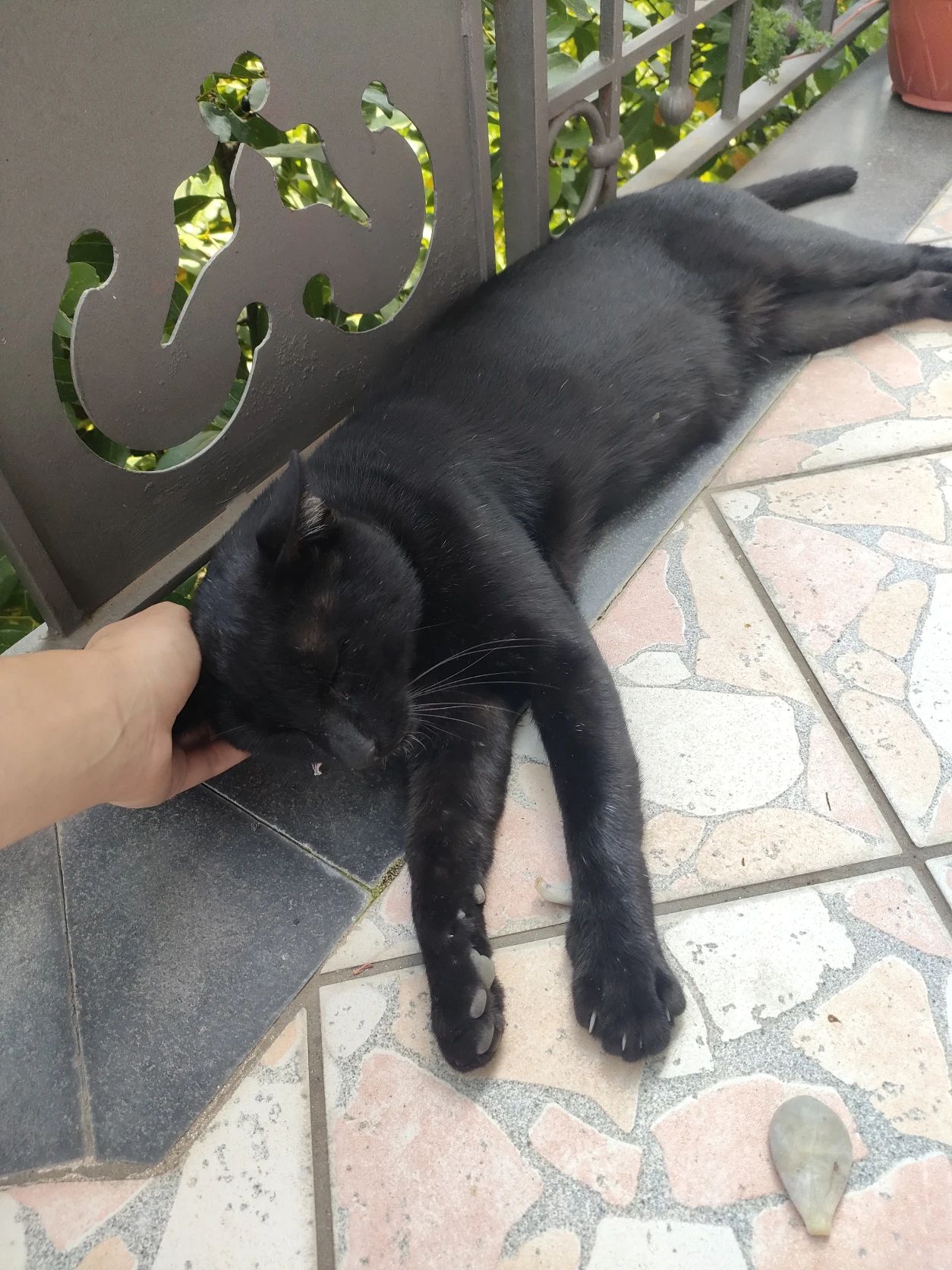 image-3