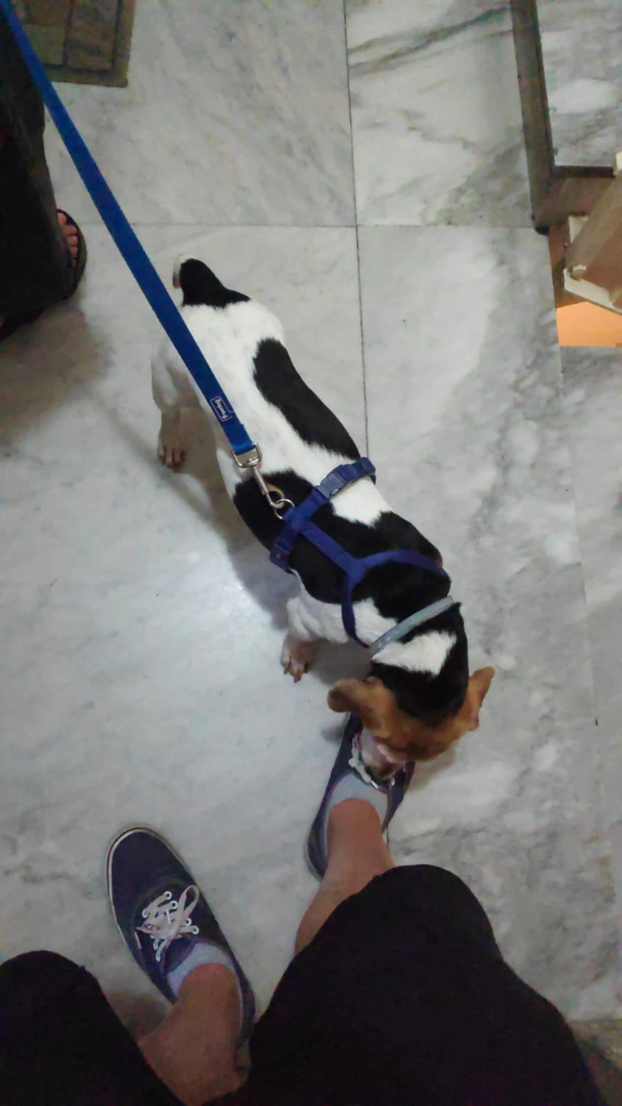 image-4