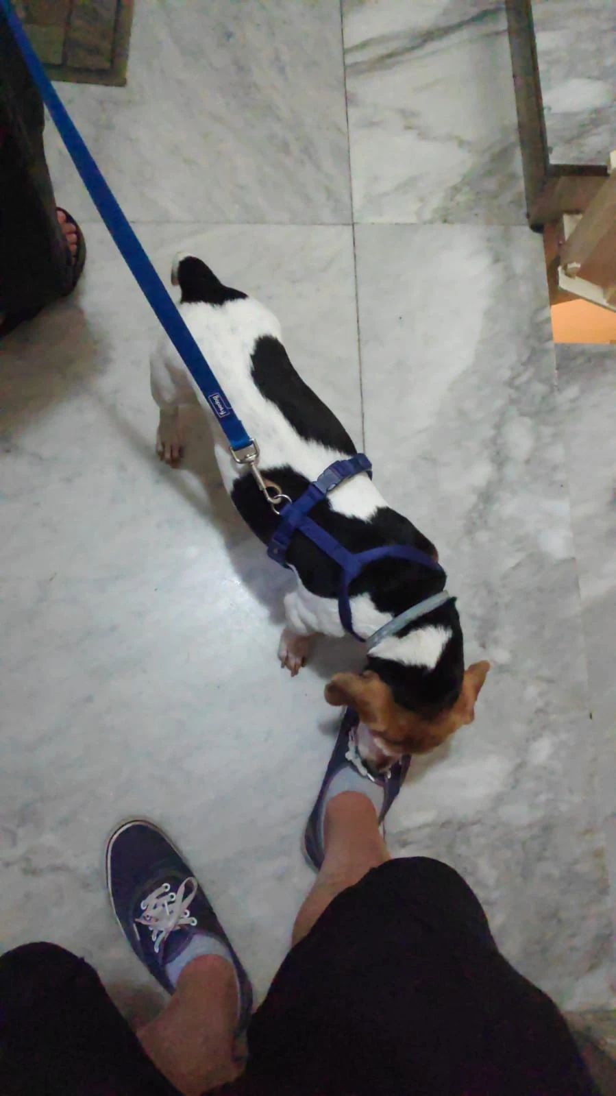 image-4