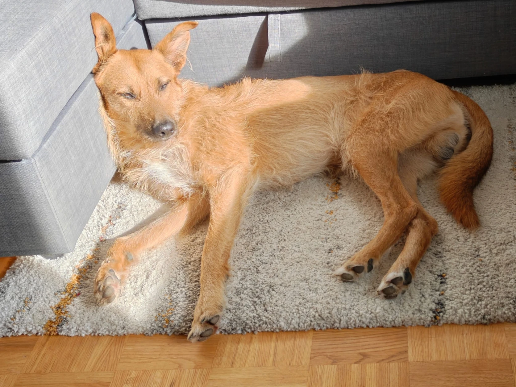 image-6