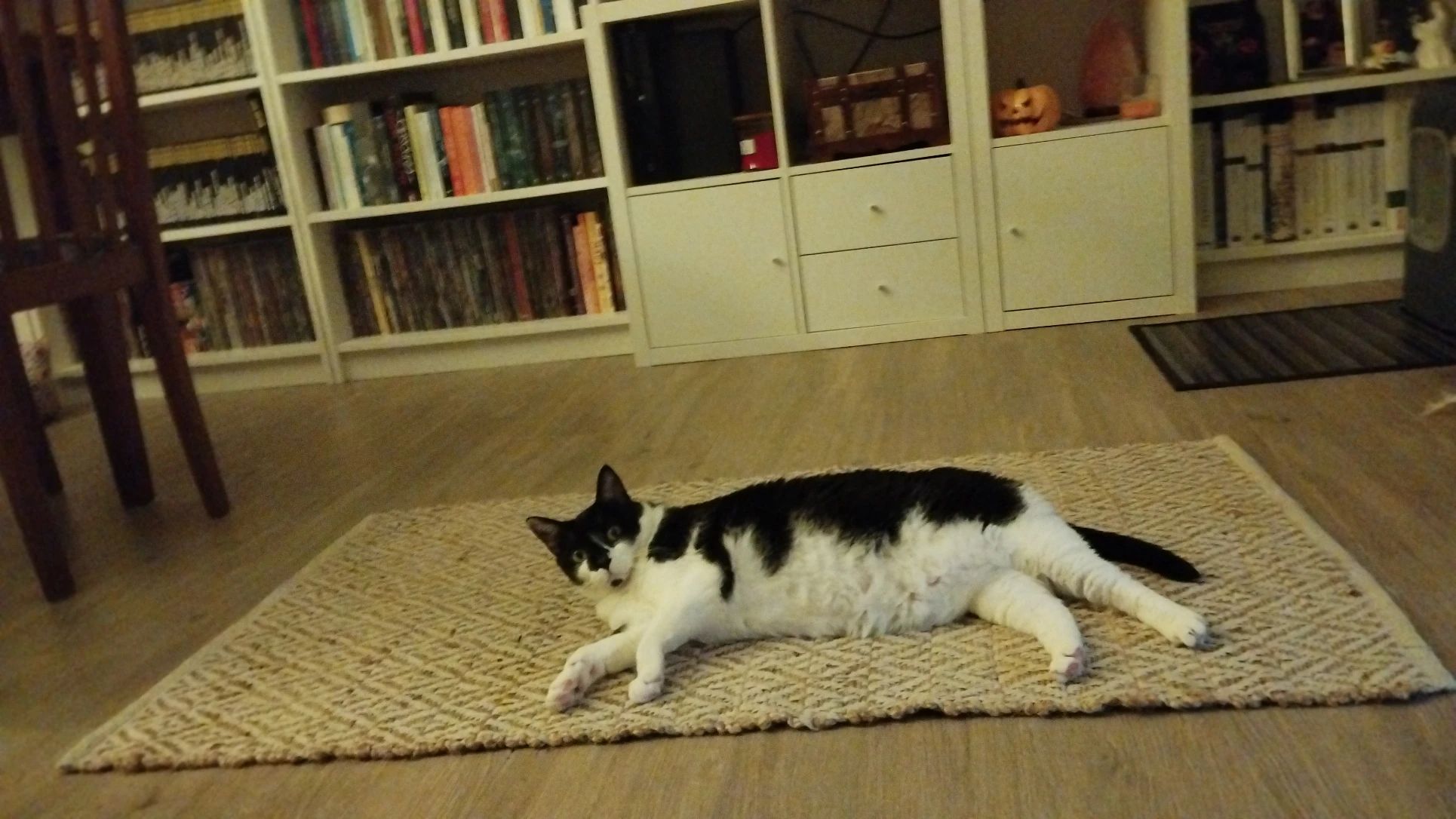 image-9