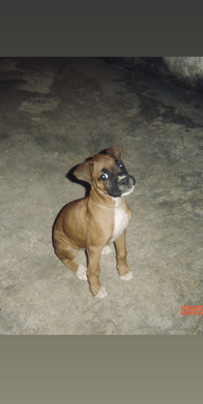 image-0