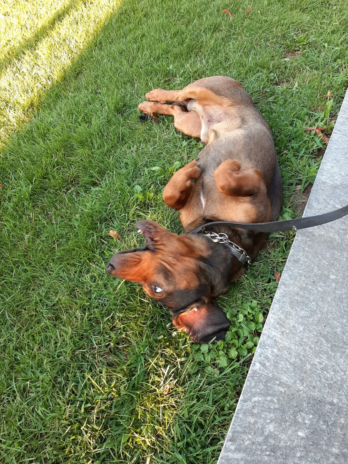 image-10