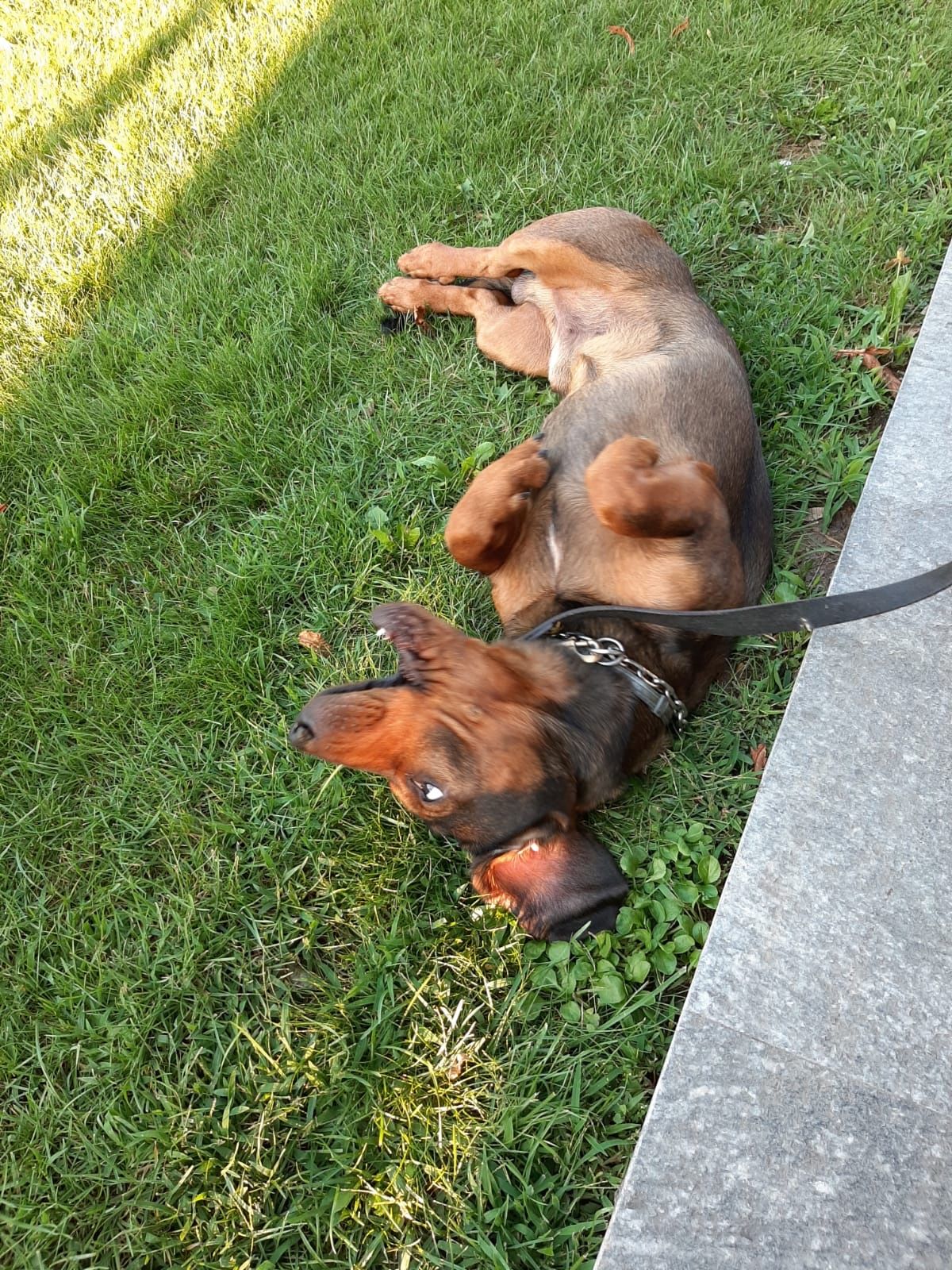 image-10