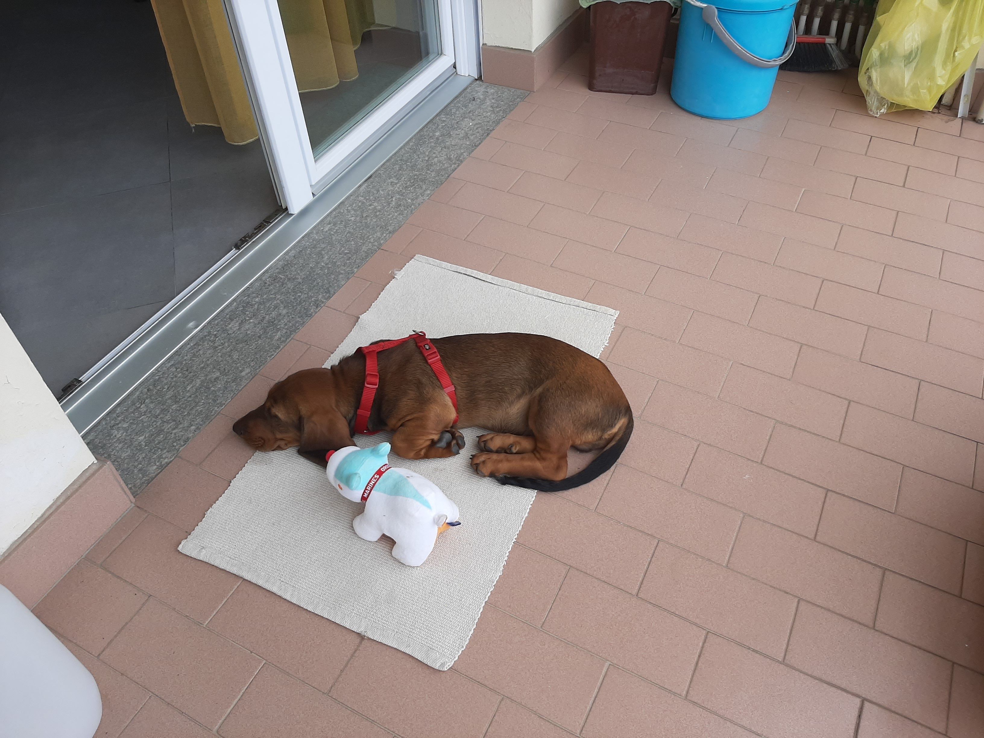 image-11