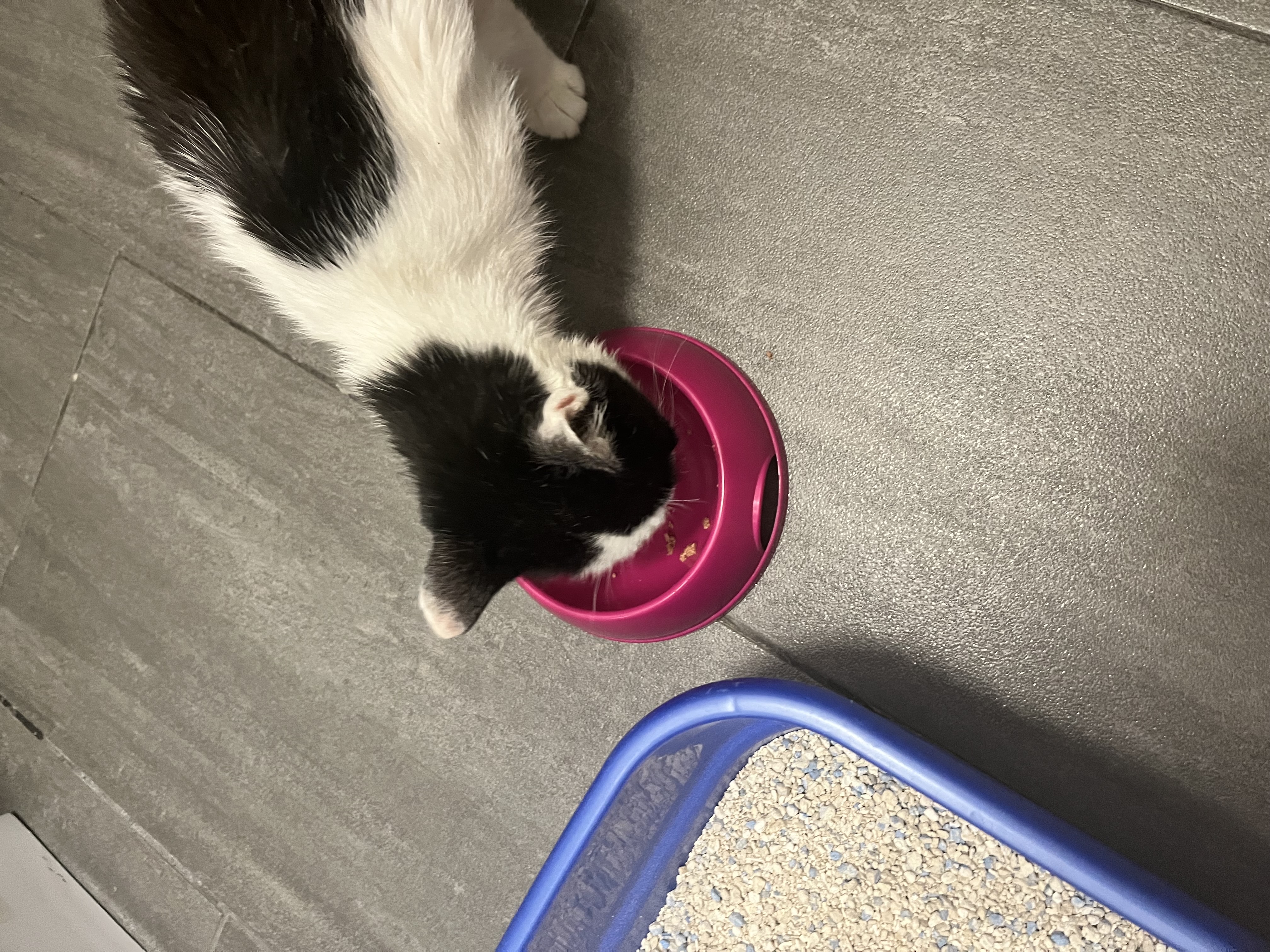 image-9