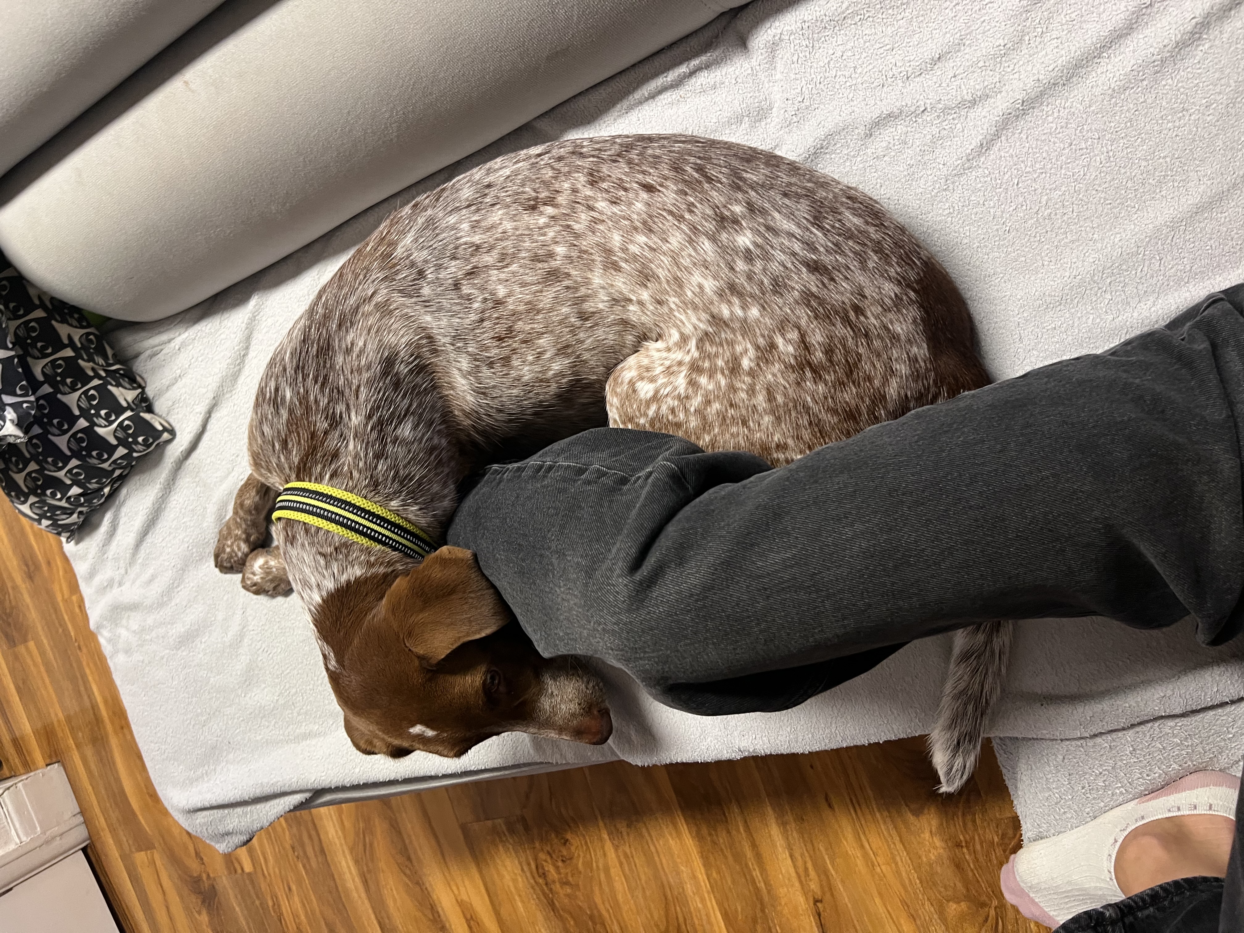 image-0