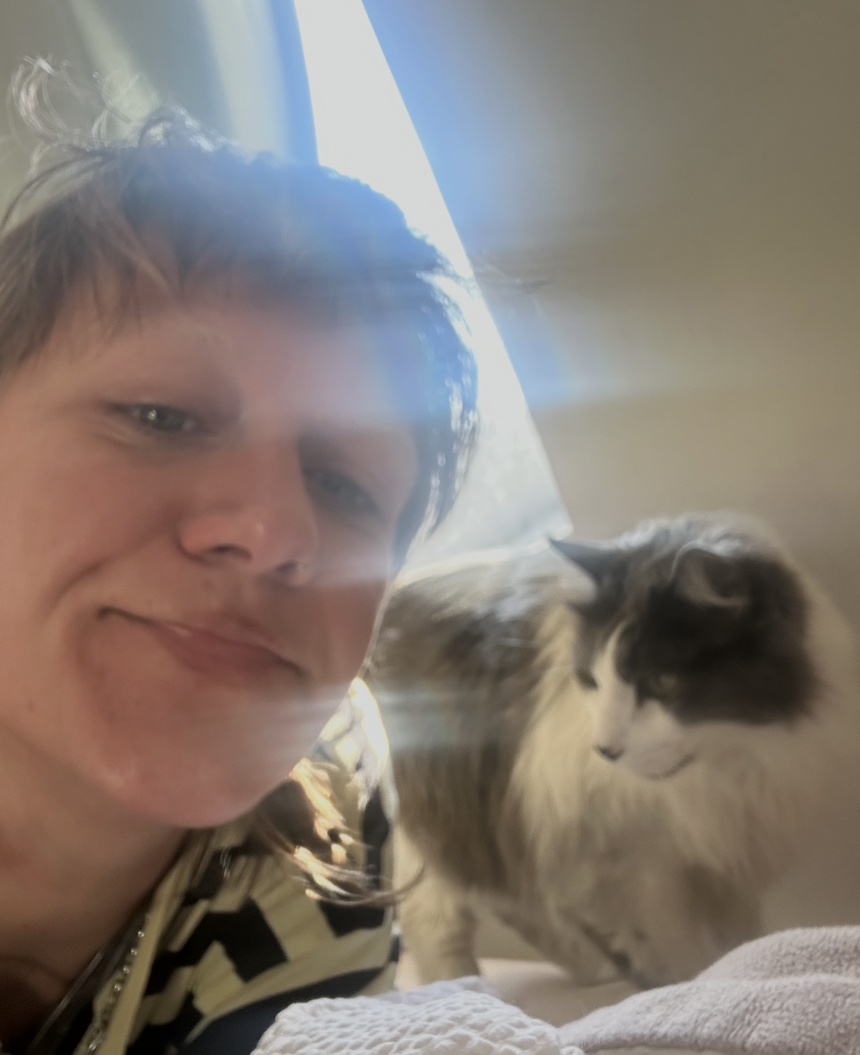 image-9