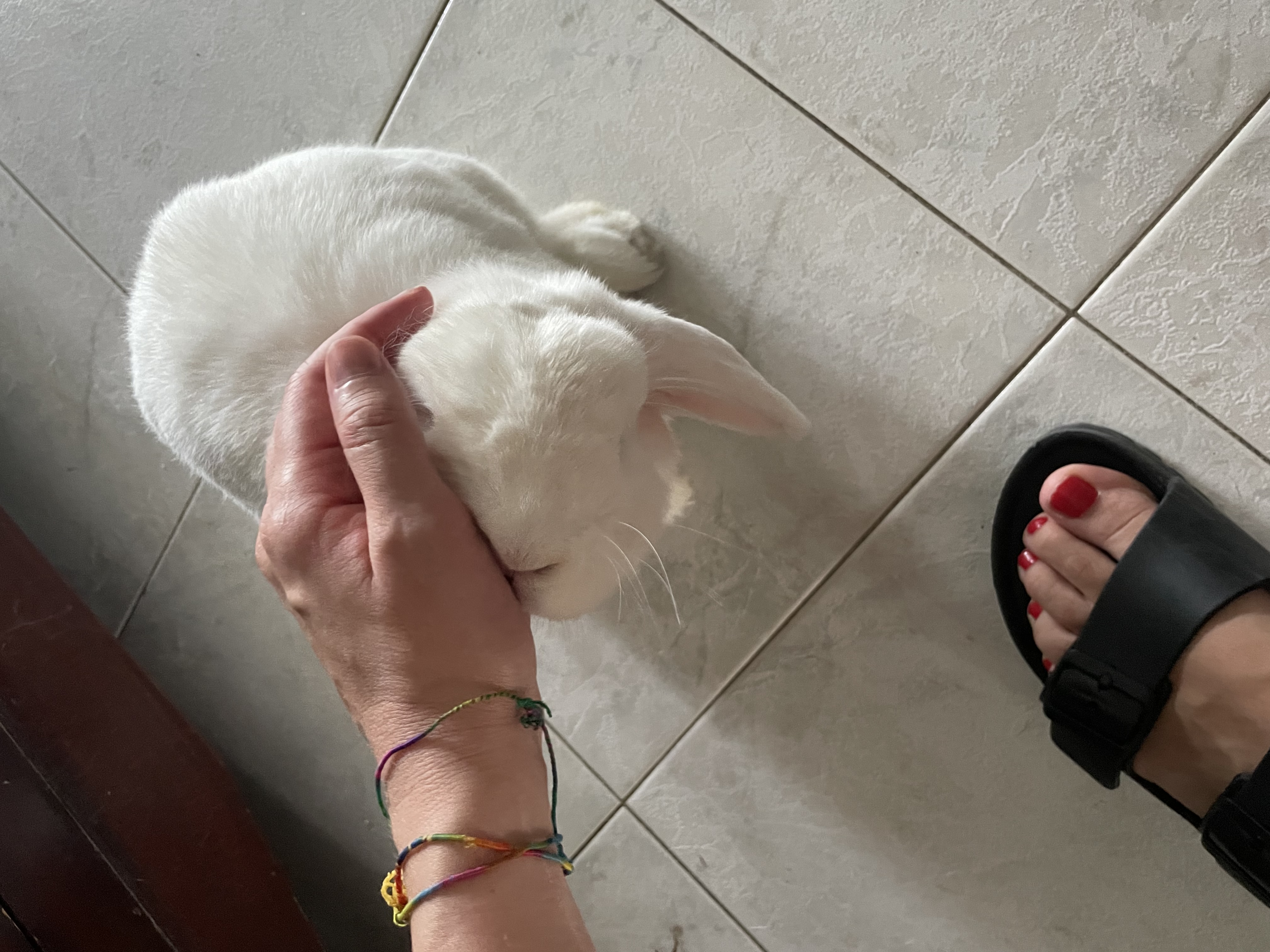 image-10