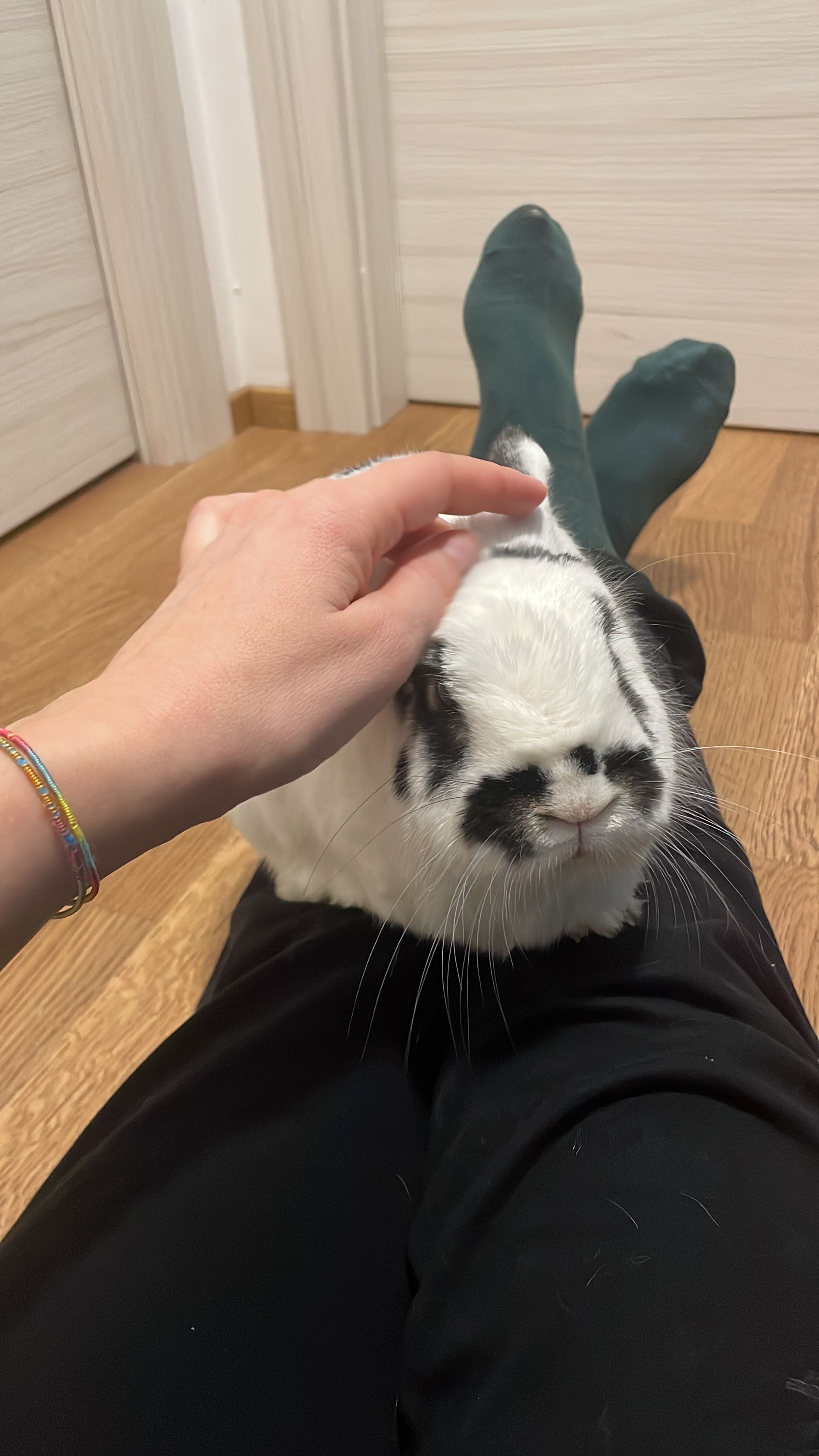 image-8
