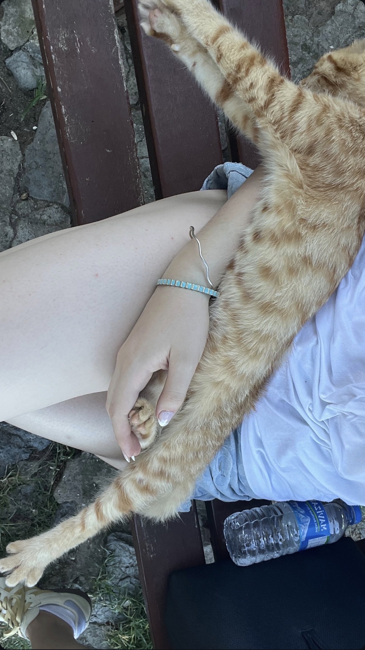image-7