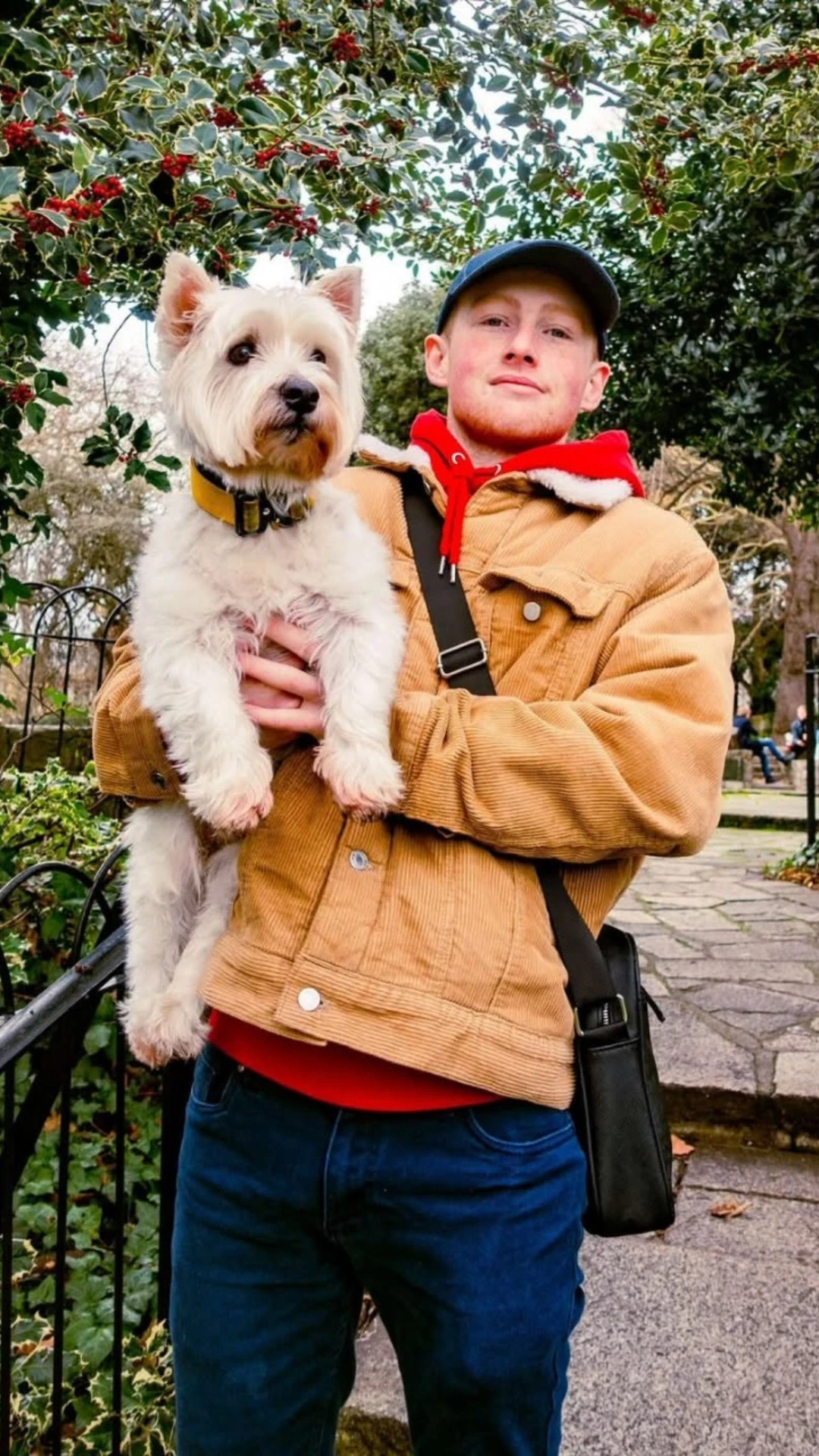 image-3