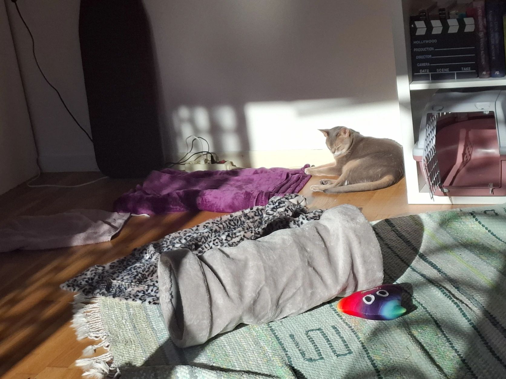 image-11