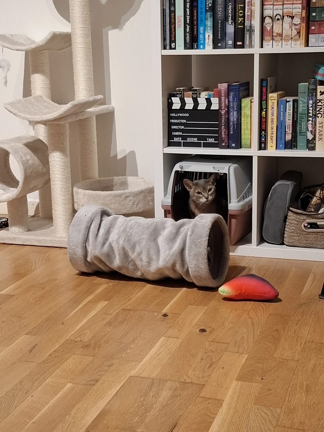 image-10