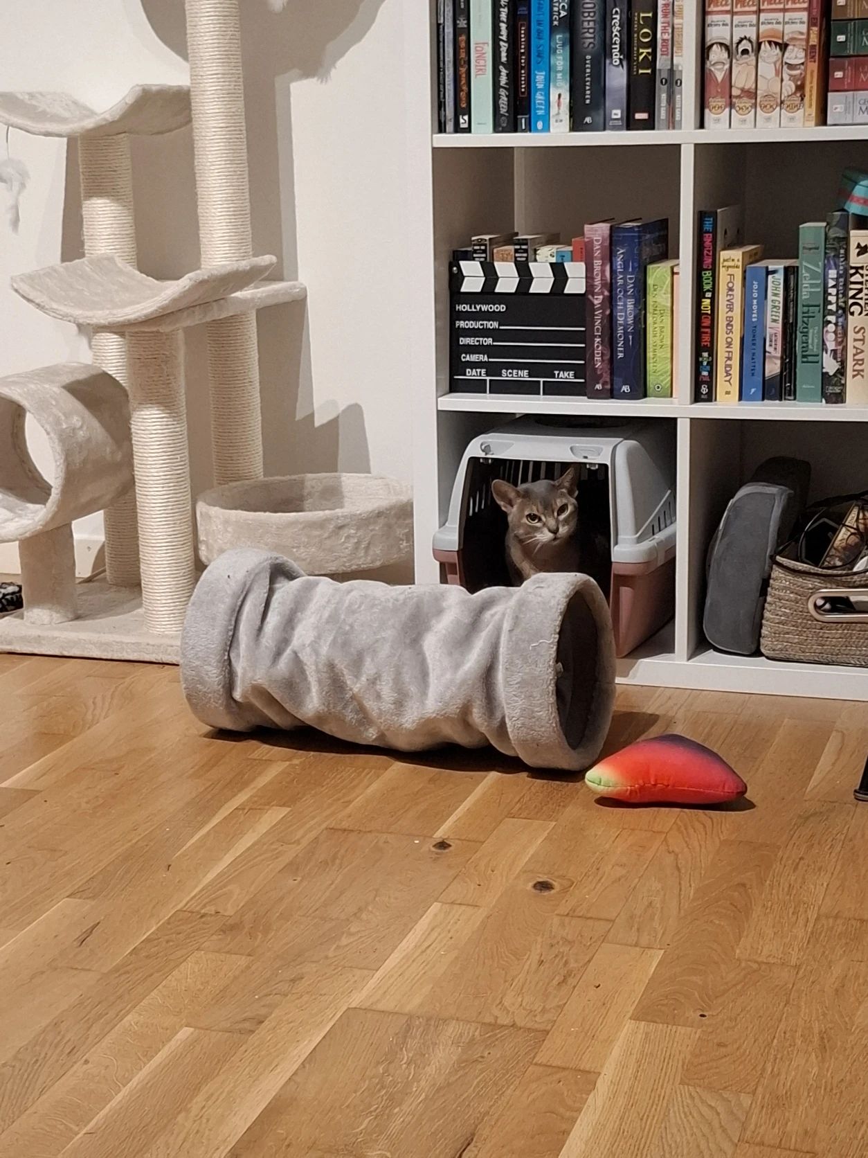 image-10