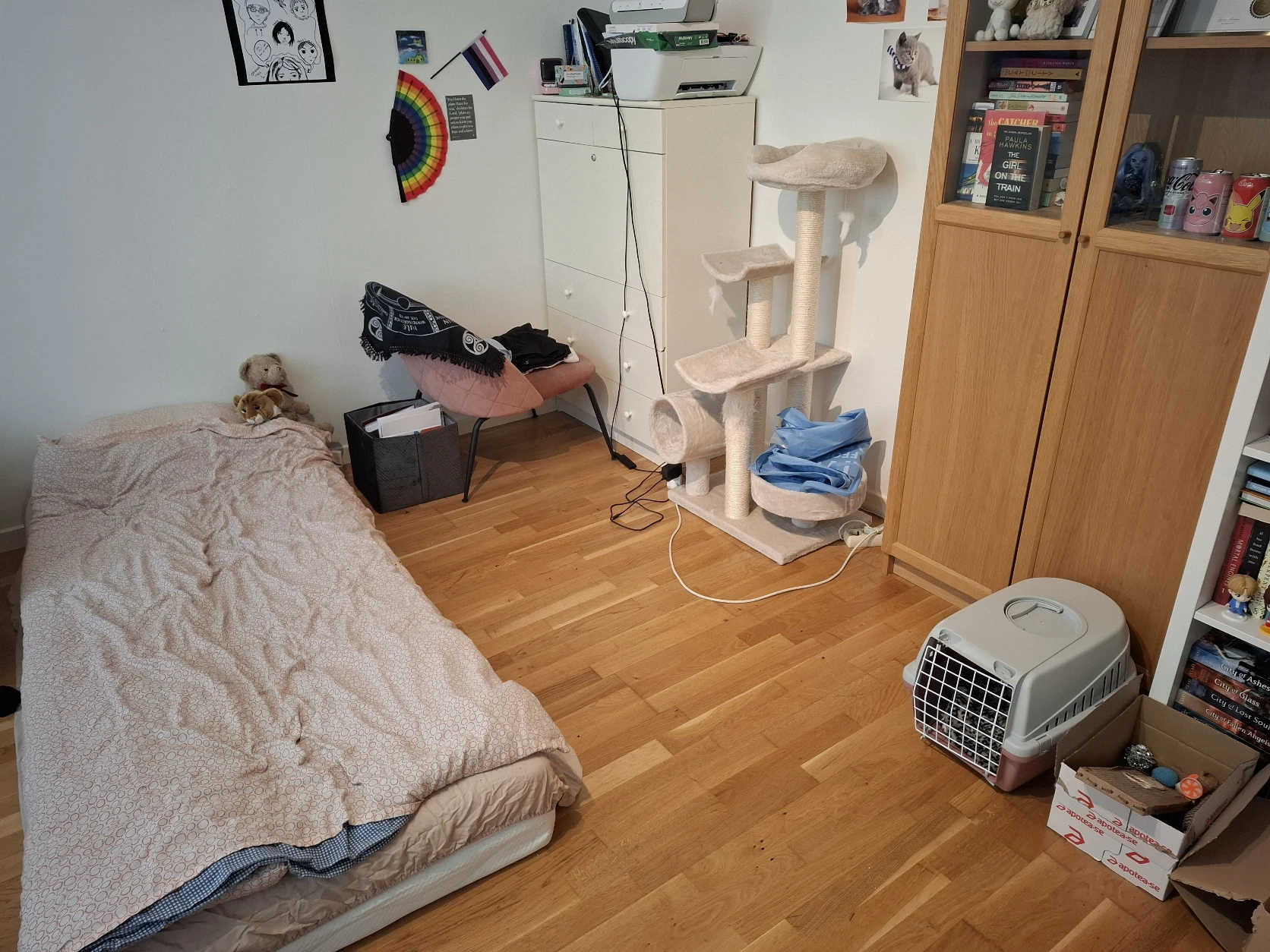image-15