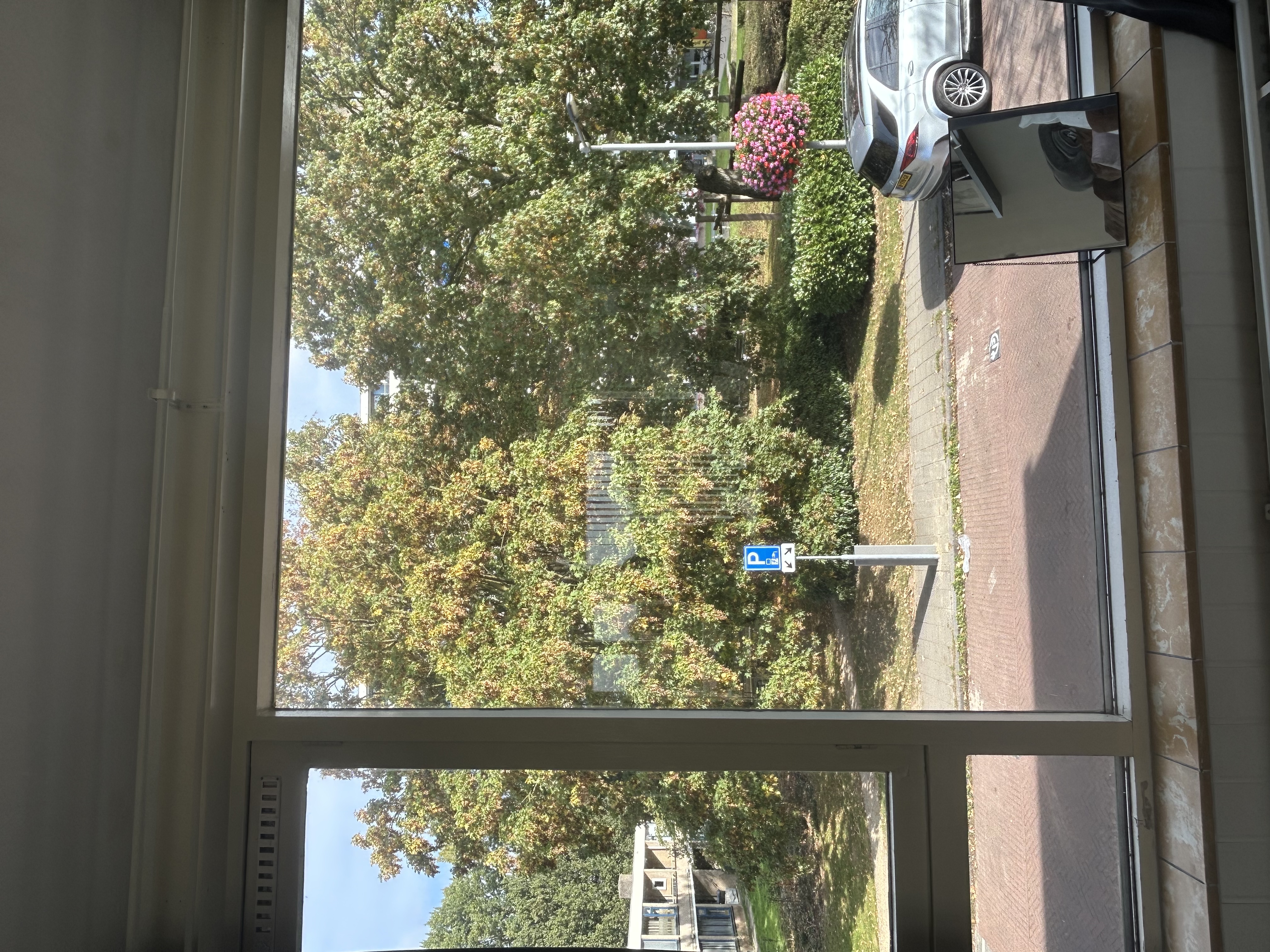 image-11