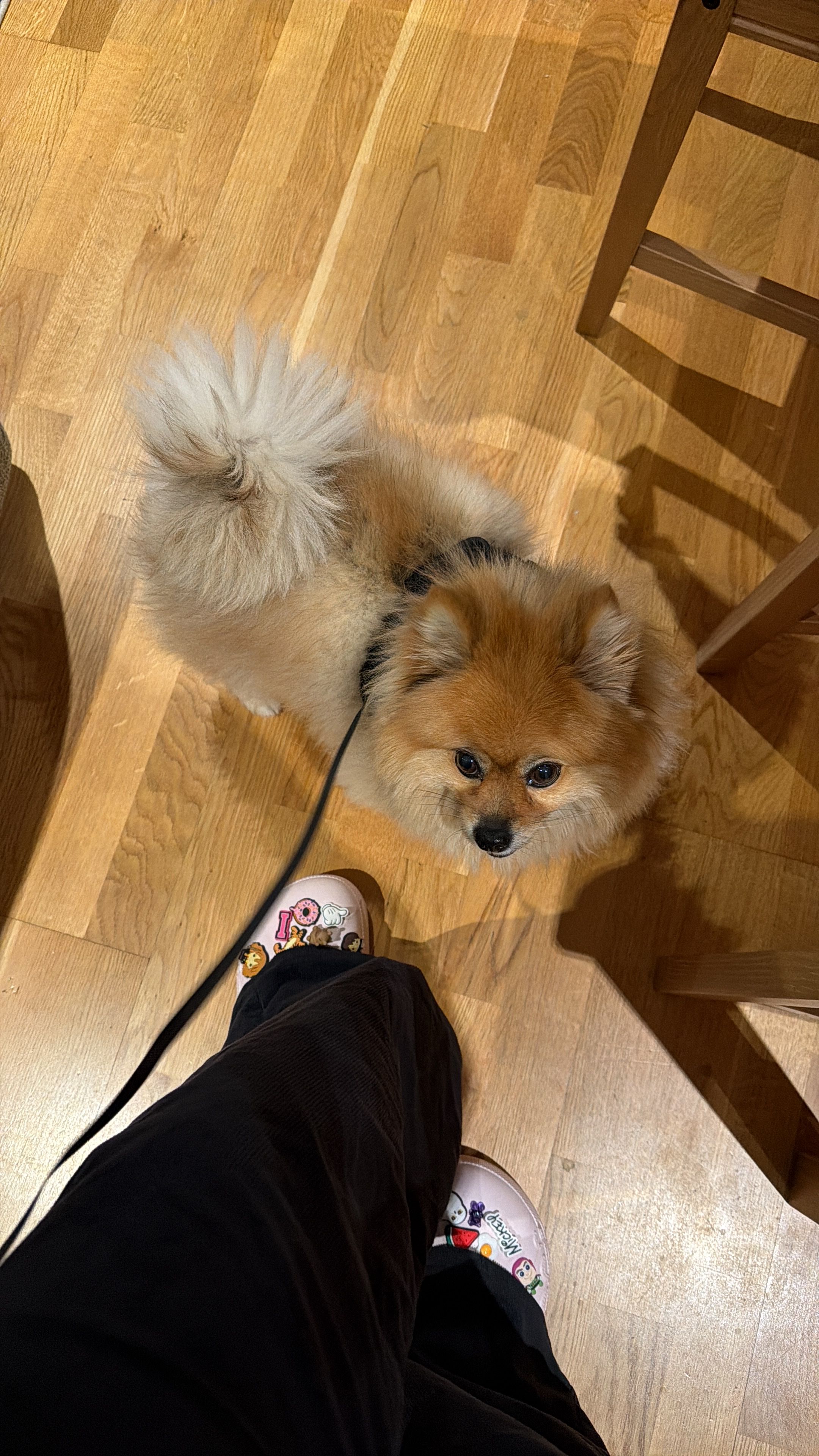 image-12