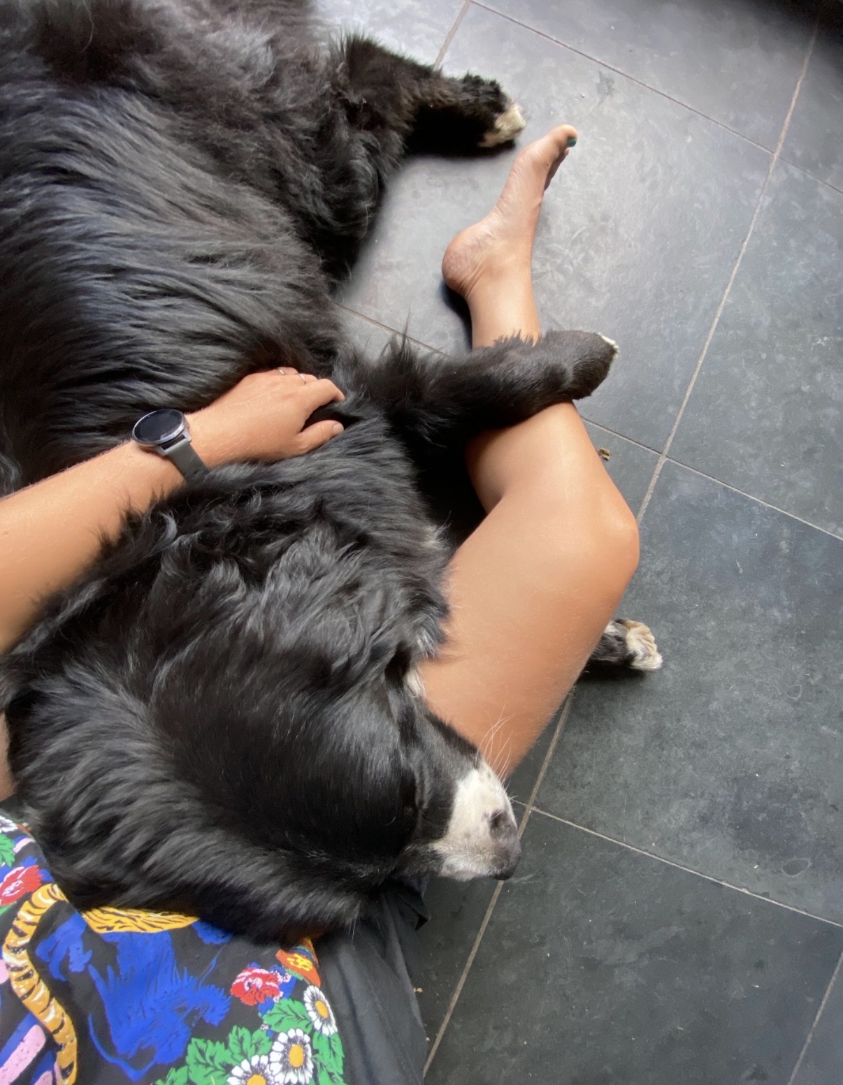 image-7