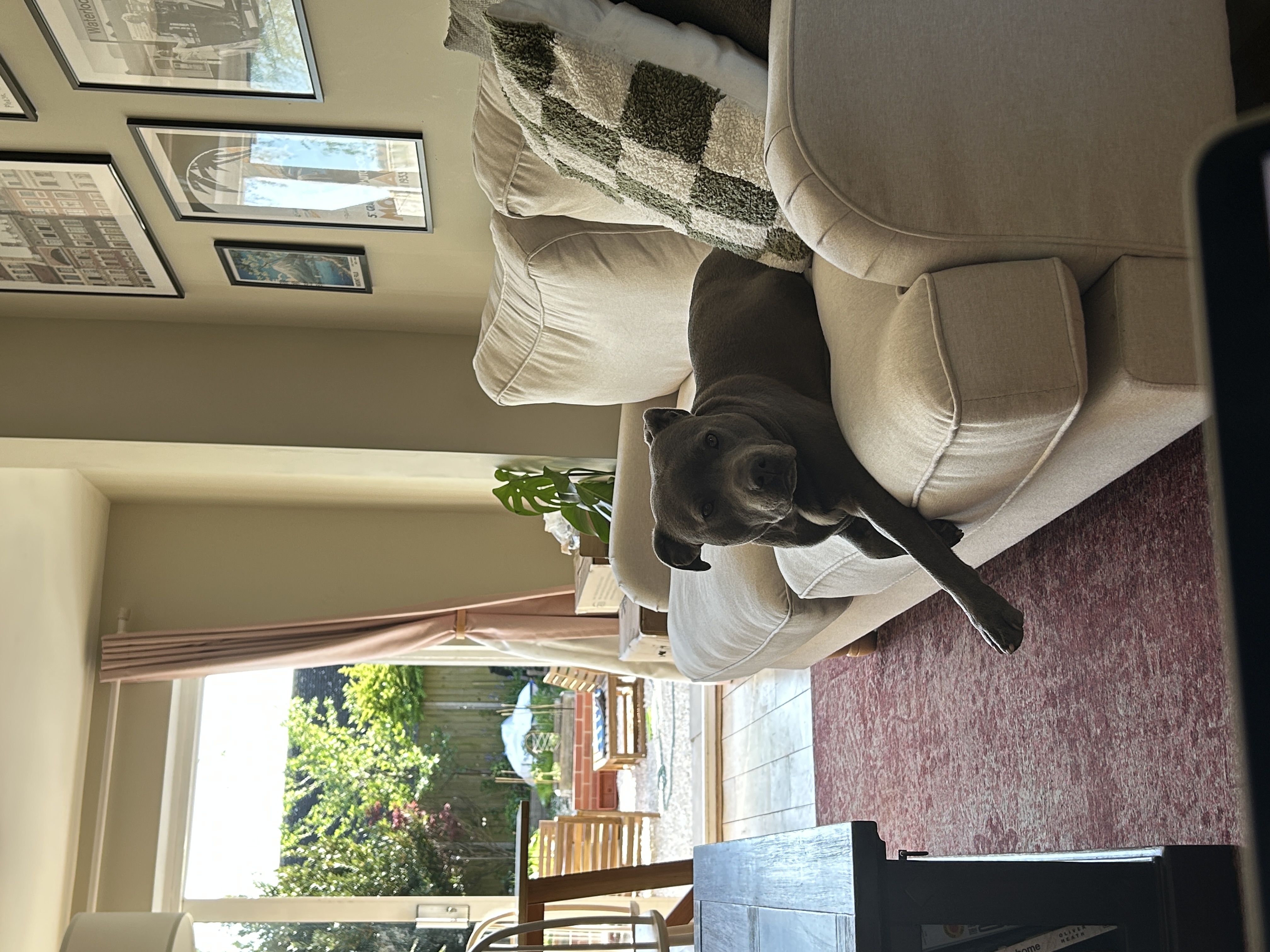 image-19