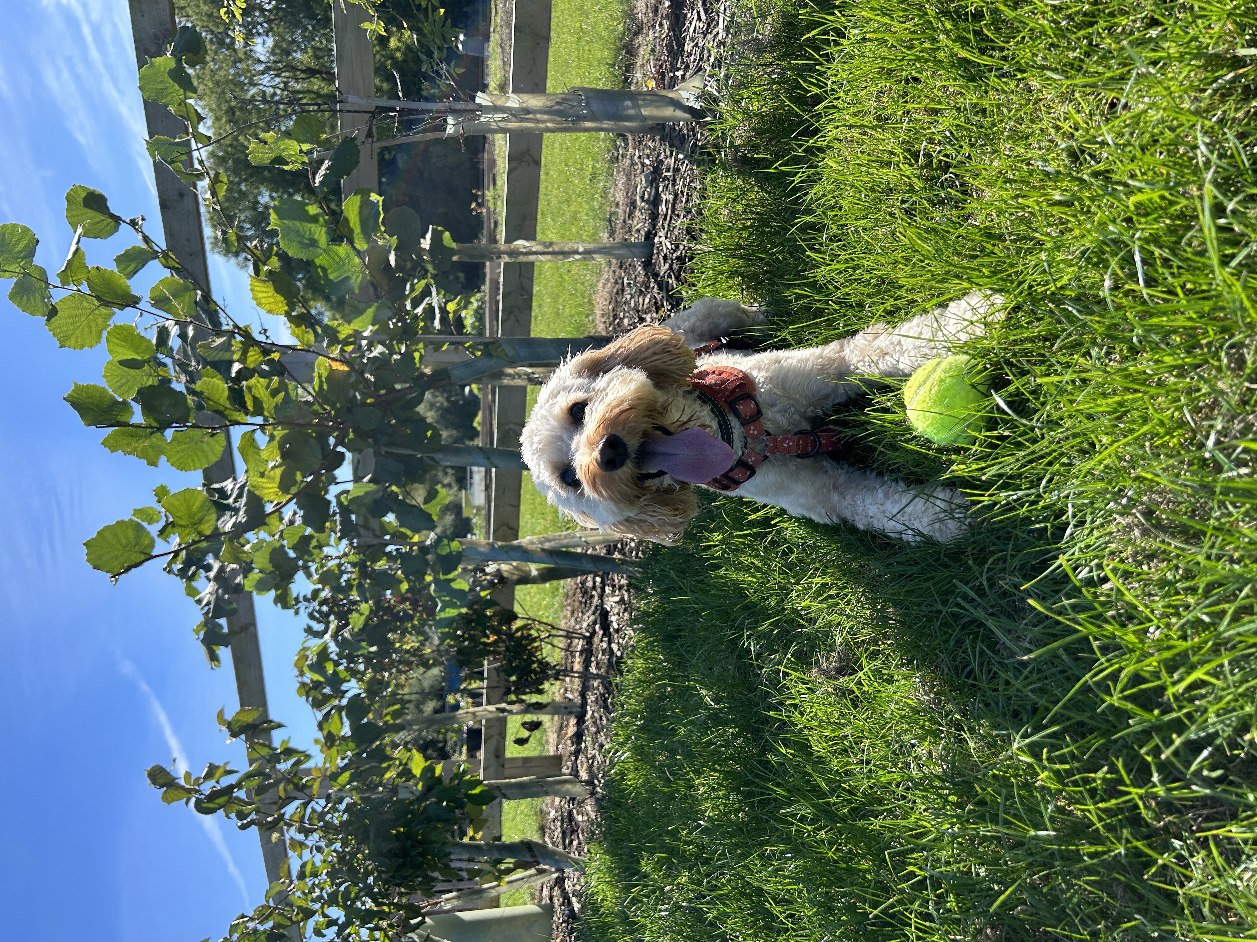 image-13