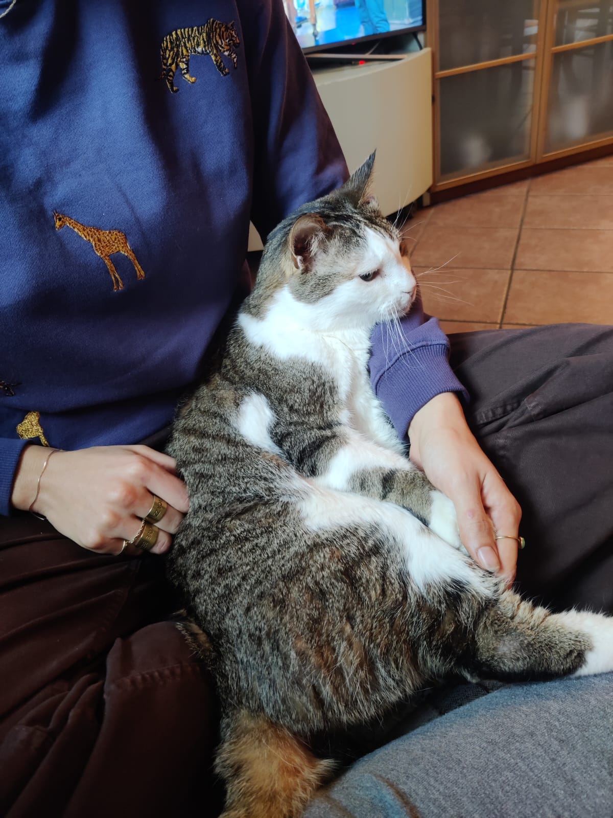 image-5