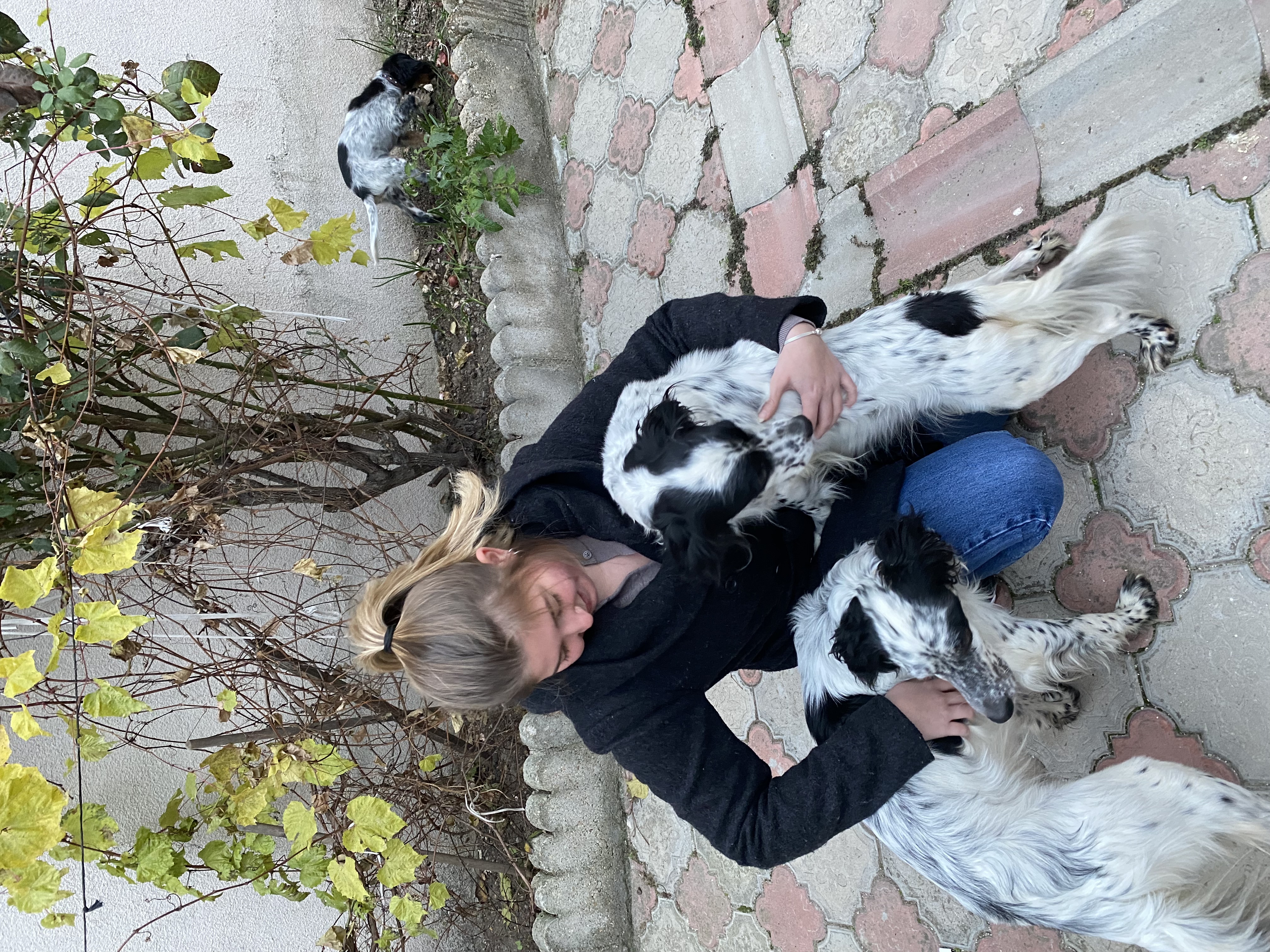 image-6