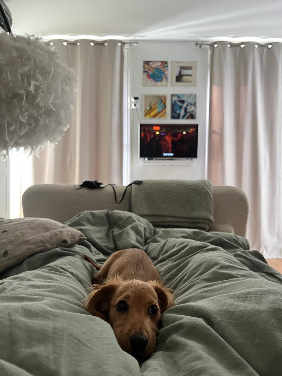 image-6