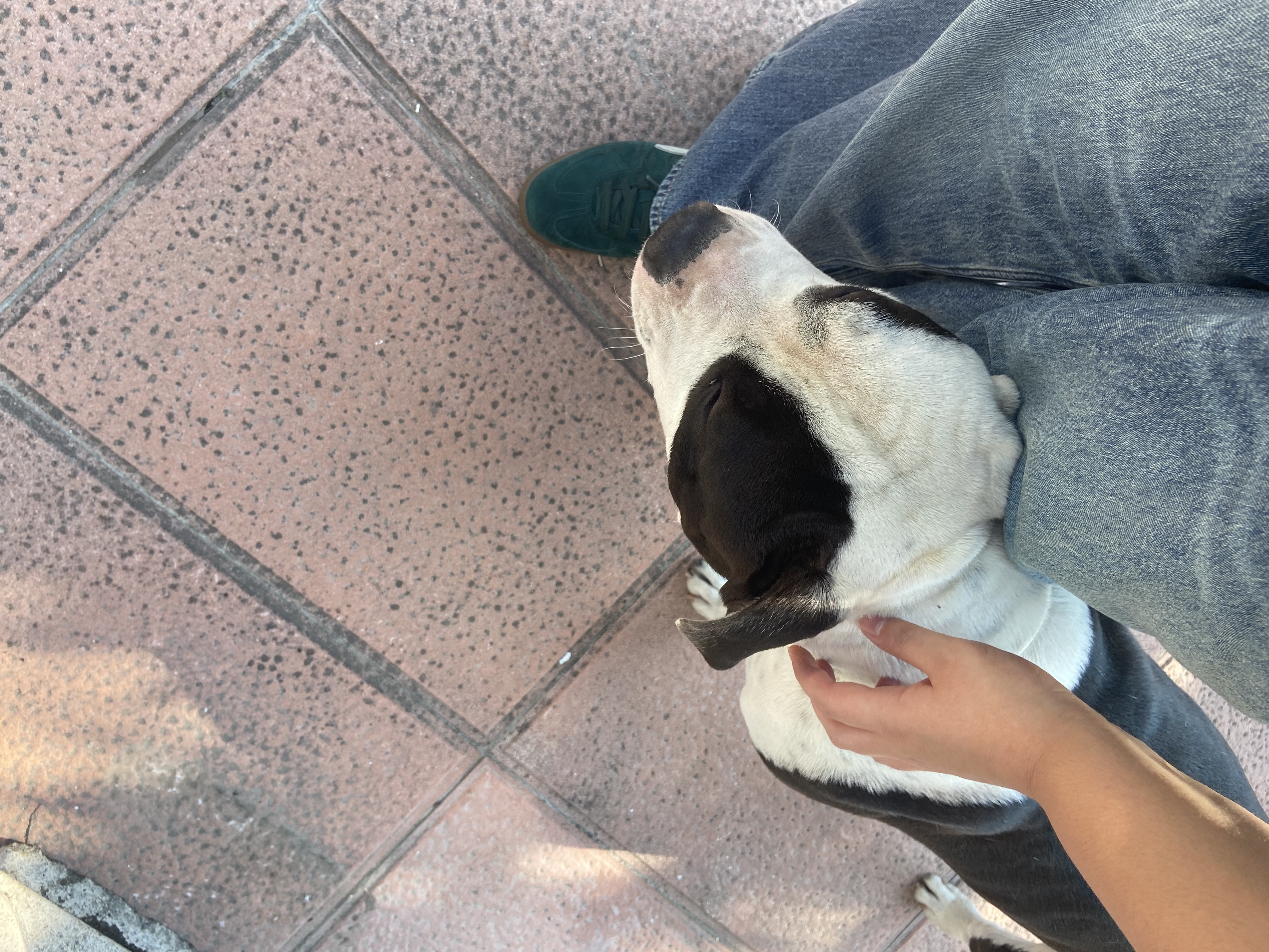 image-7