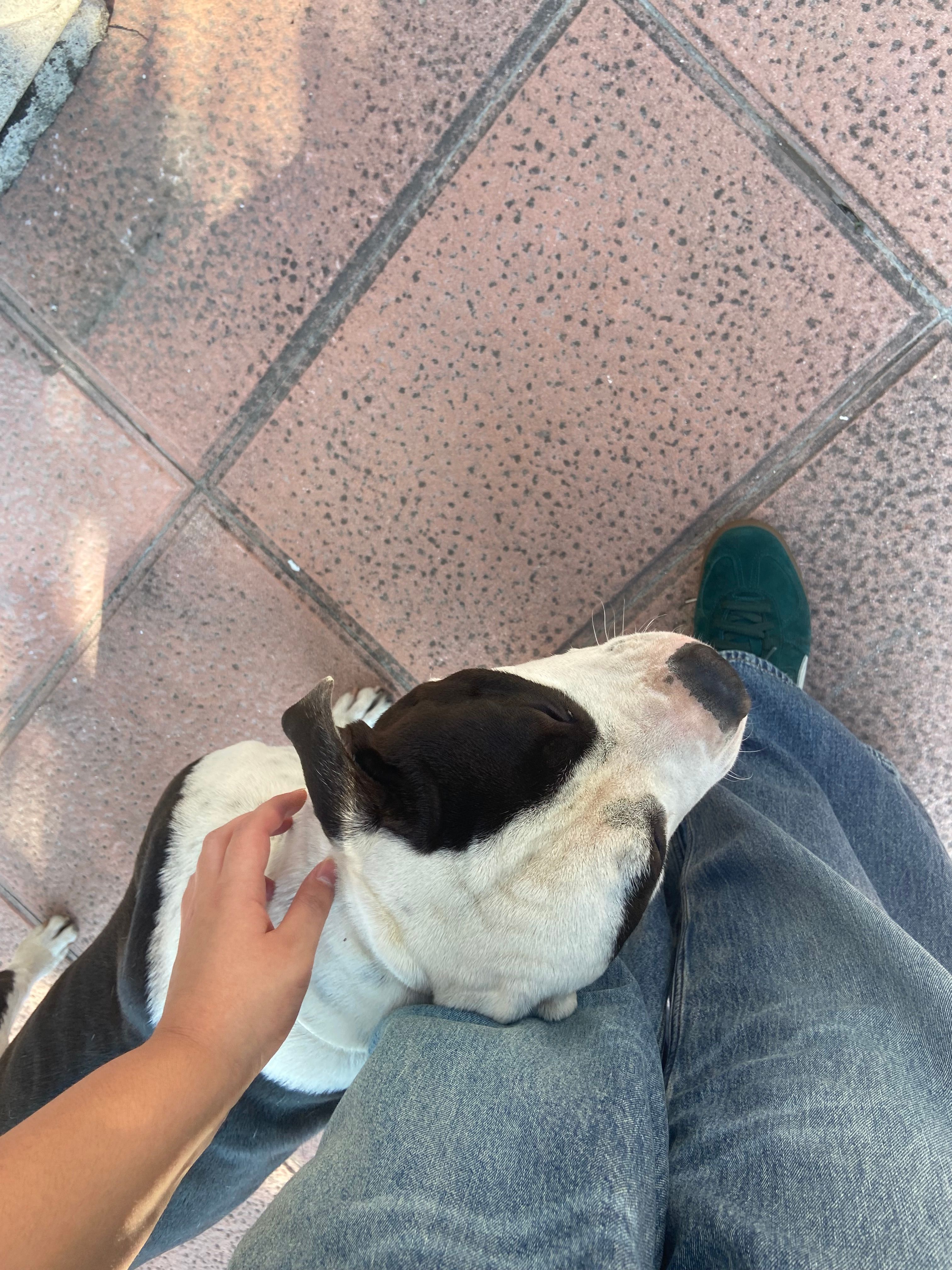 image-7