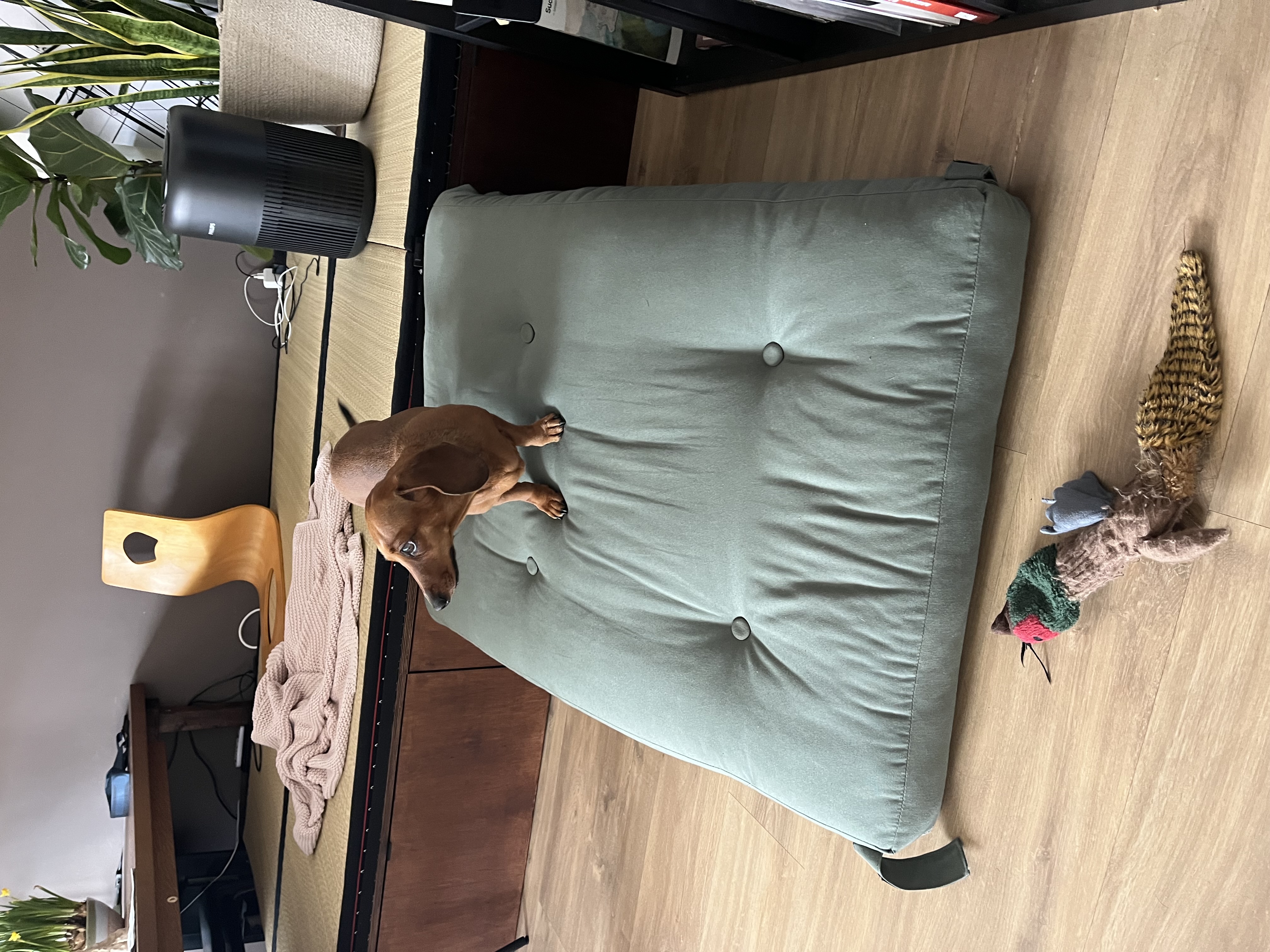 image-5