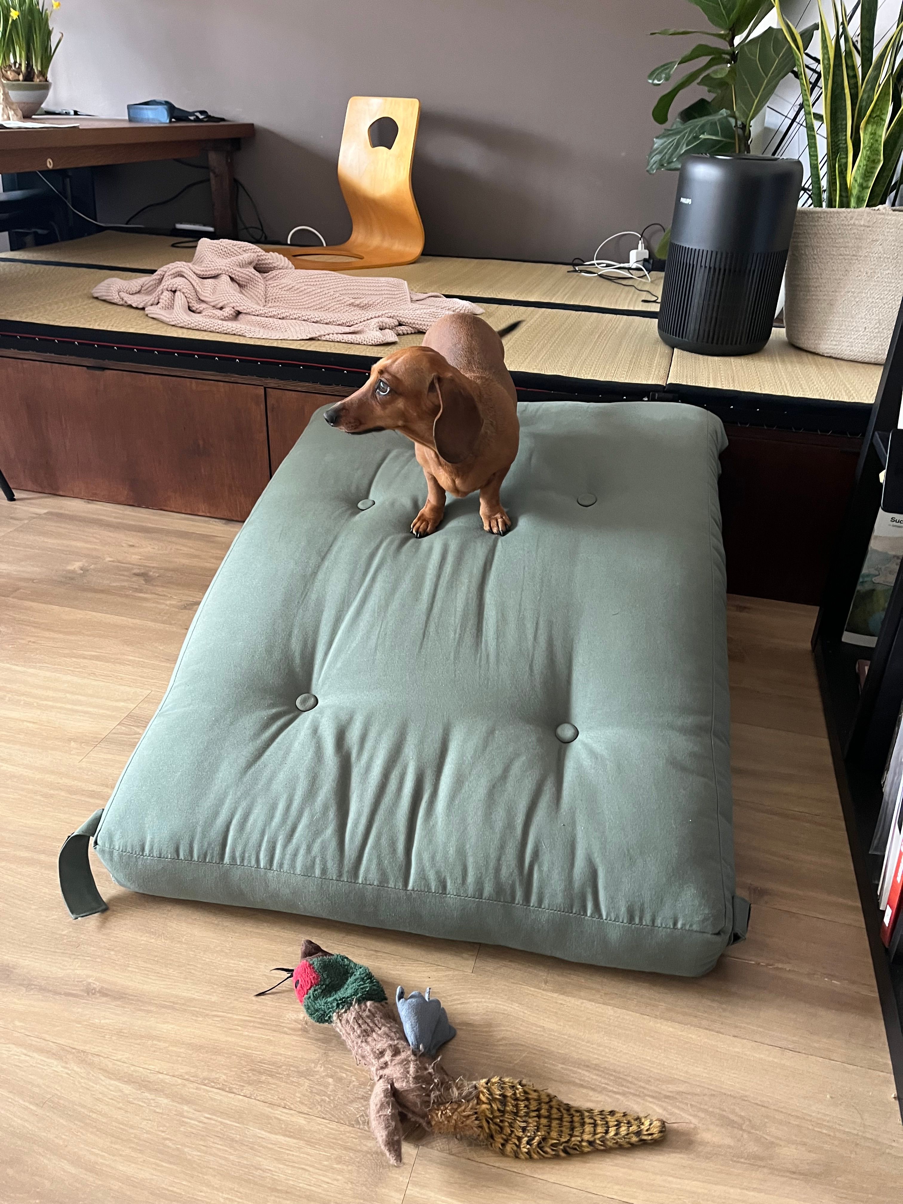 image-5